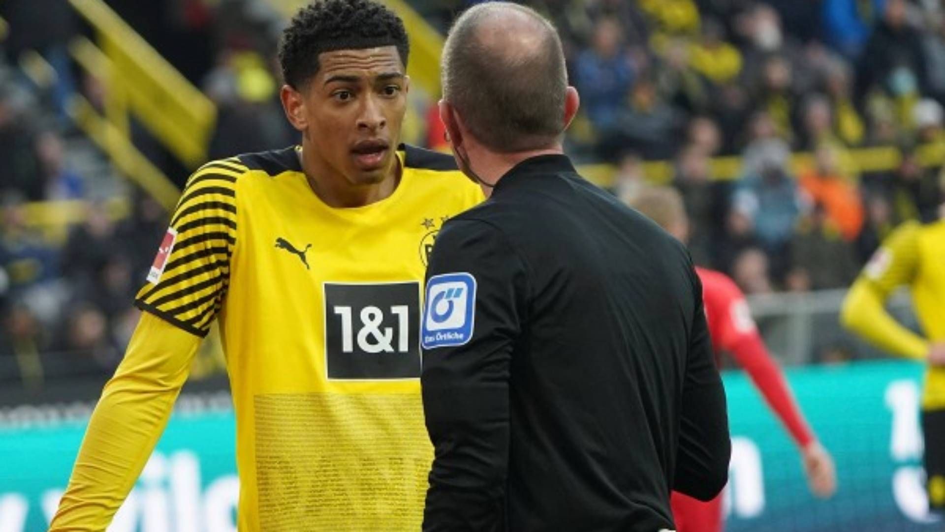 bellingham-fritz-13032023