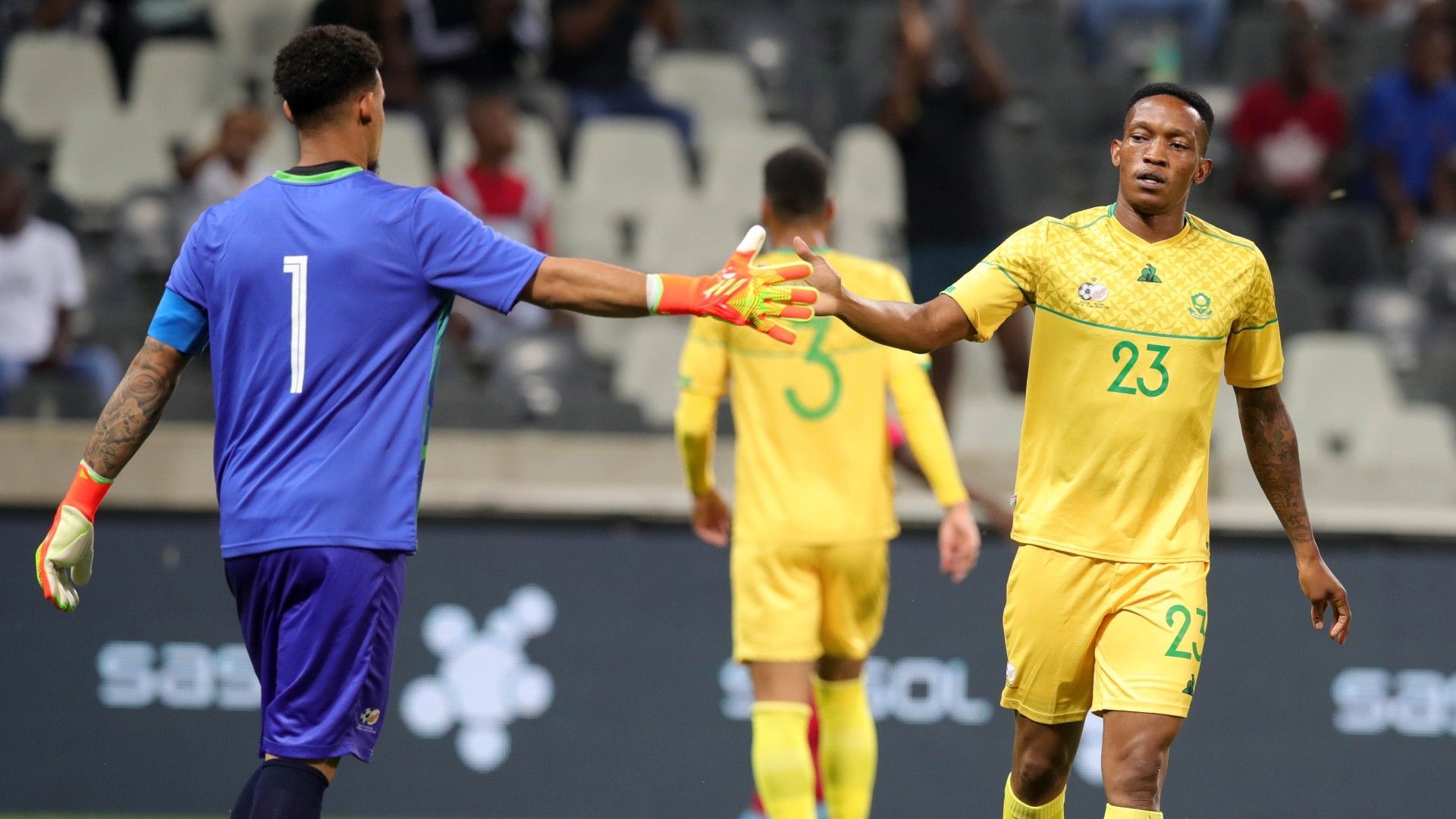 Ronwen Williams & Grant Kekana, Bafana Bafana, November 2022