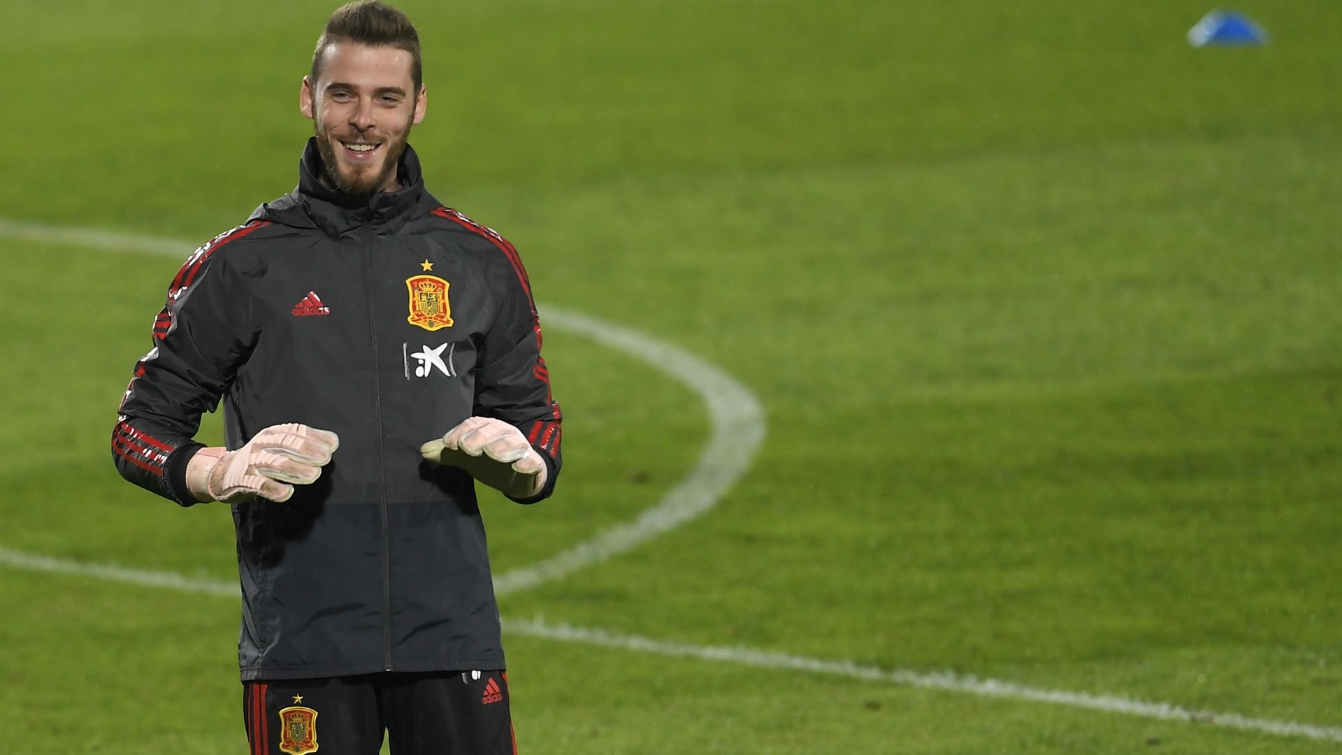 David de Gea 11172018