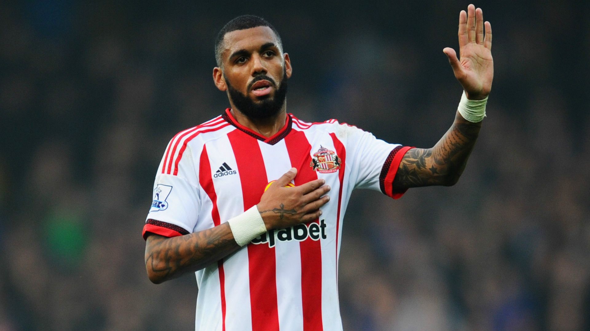 Yann M'Vila Sunderland Premier League