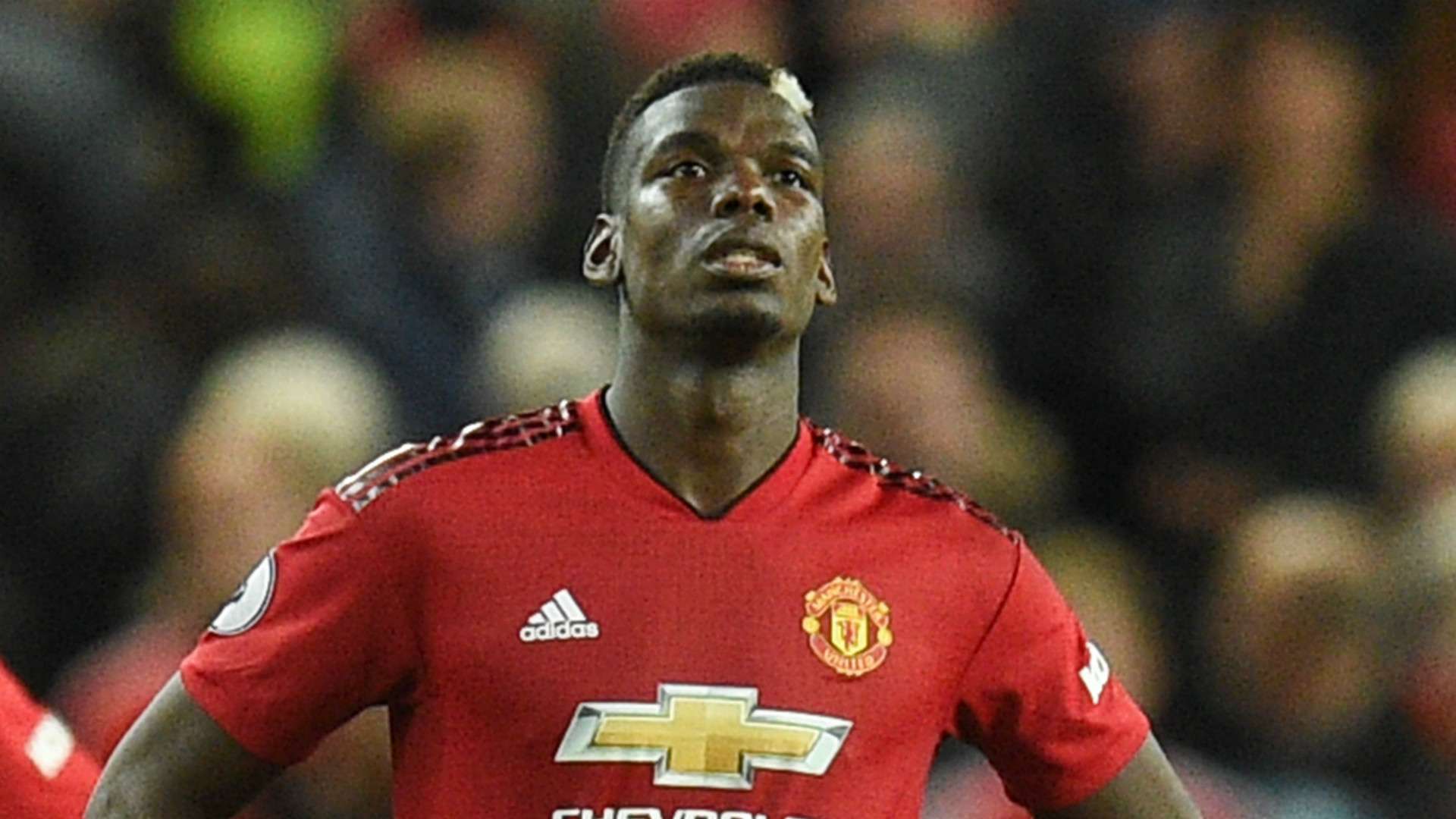 Paul Pogba Manchester United 2018-19