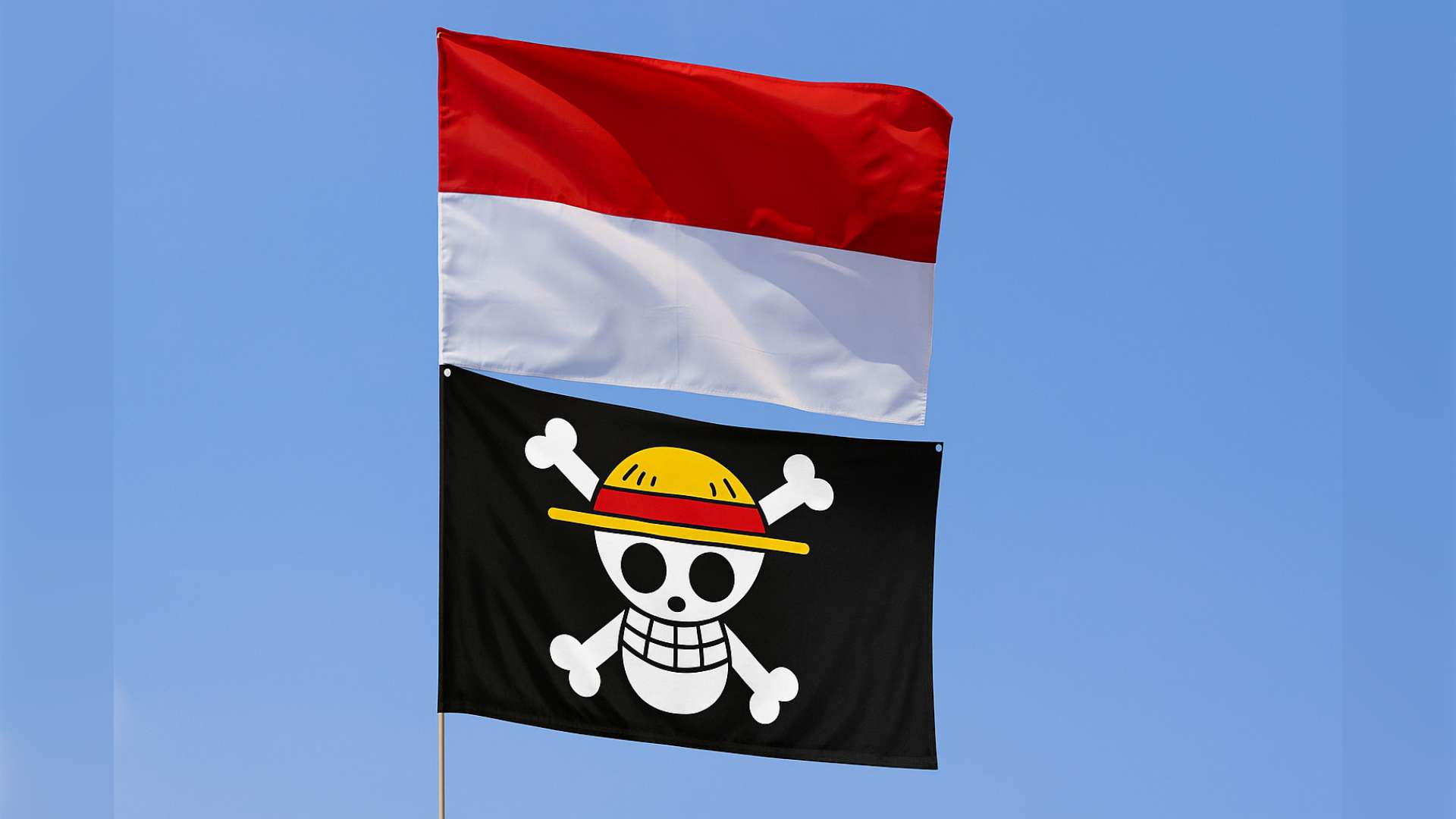 Bendera Straw Hat (Luffy) dikibarkan dalam aksi protes