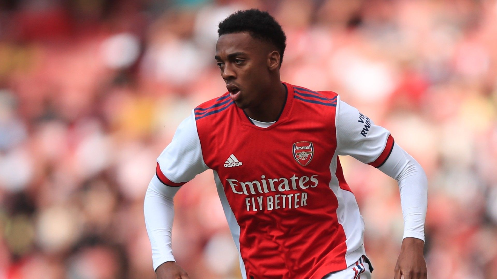 Joe Willock Arsenal 2021-22
