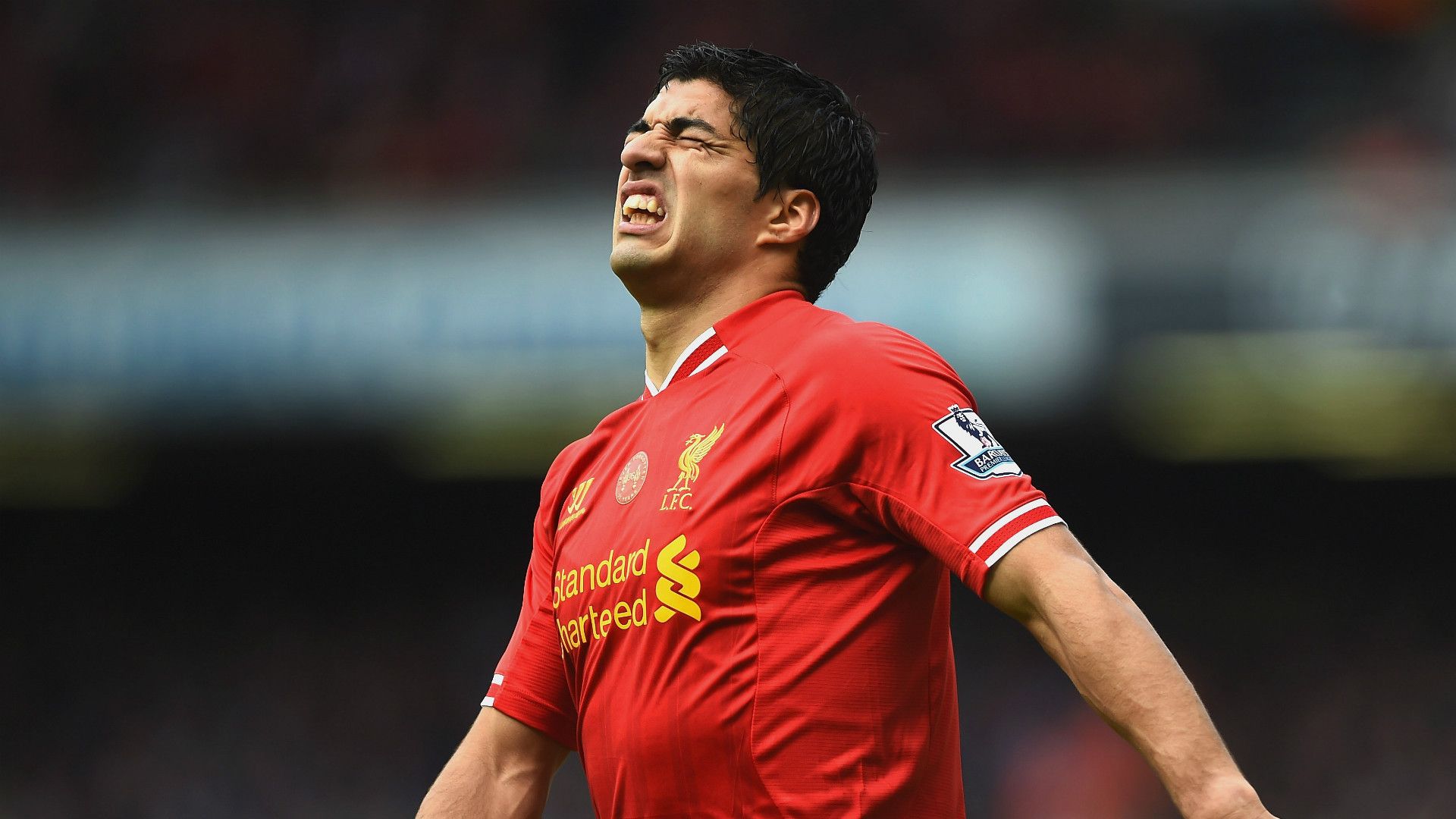 Luis Suarez | Liverpool