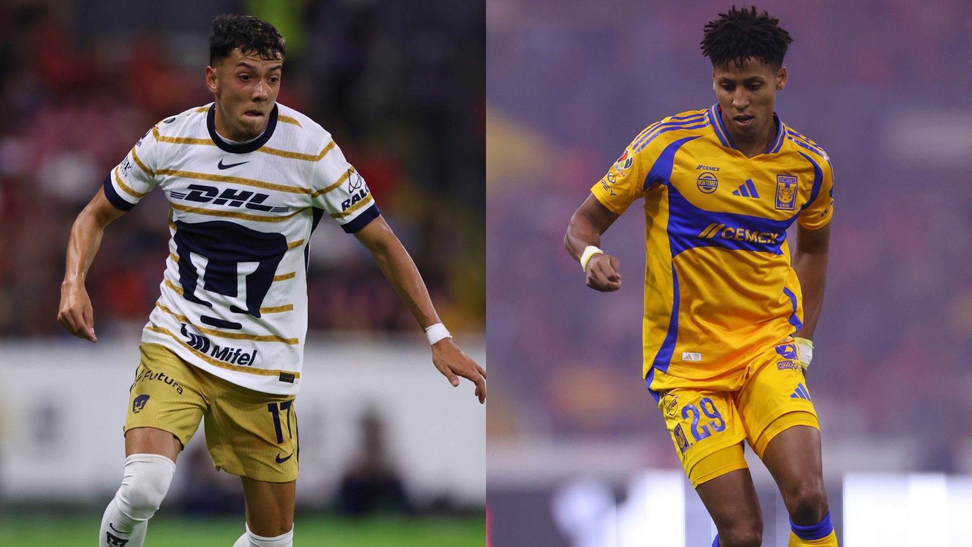 Pumas Tigres VIVO Online Apertura 2024