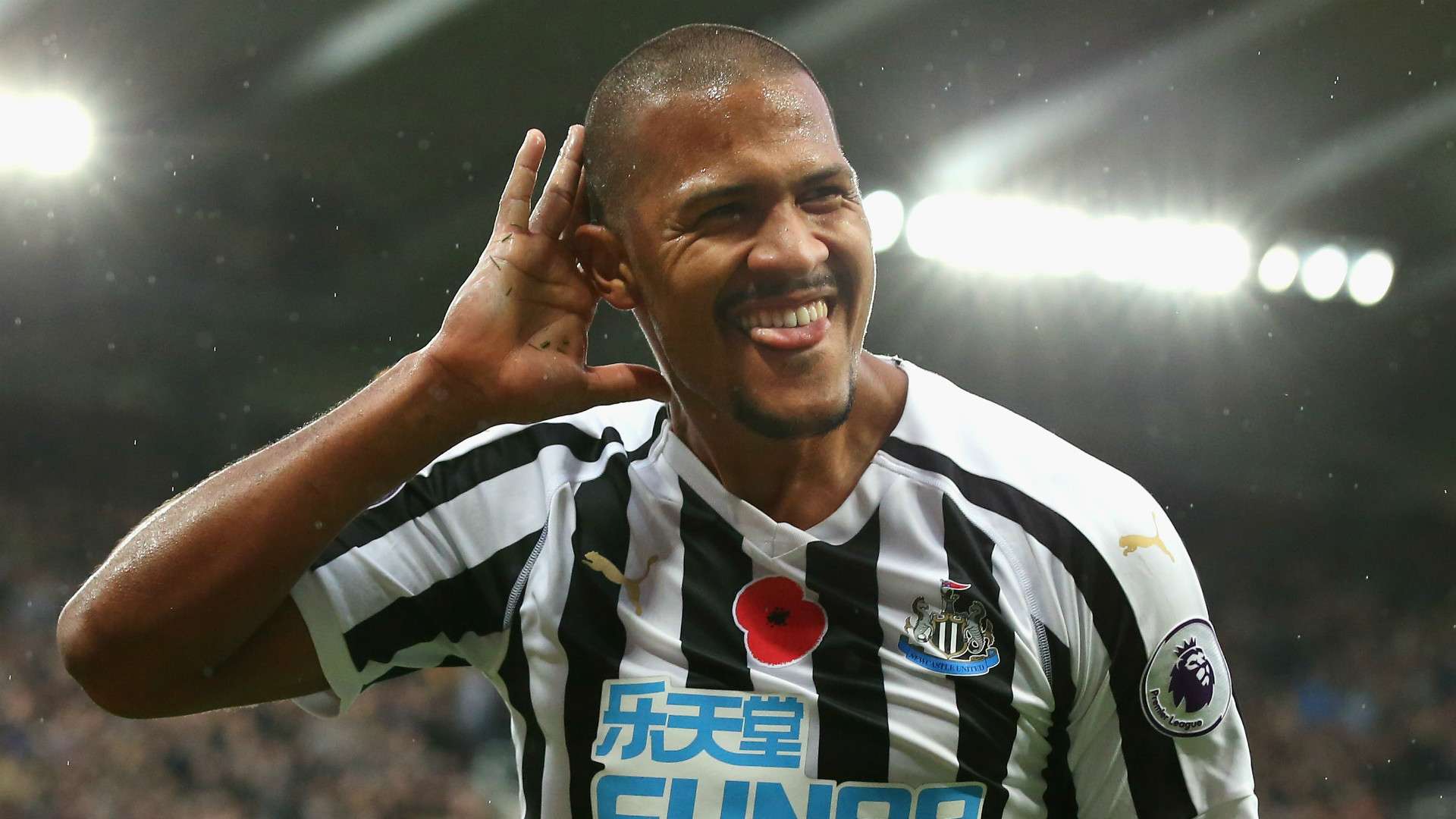 Salomon Rondon Newcastle 2018-19