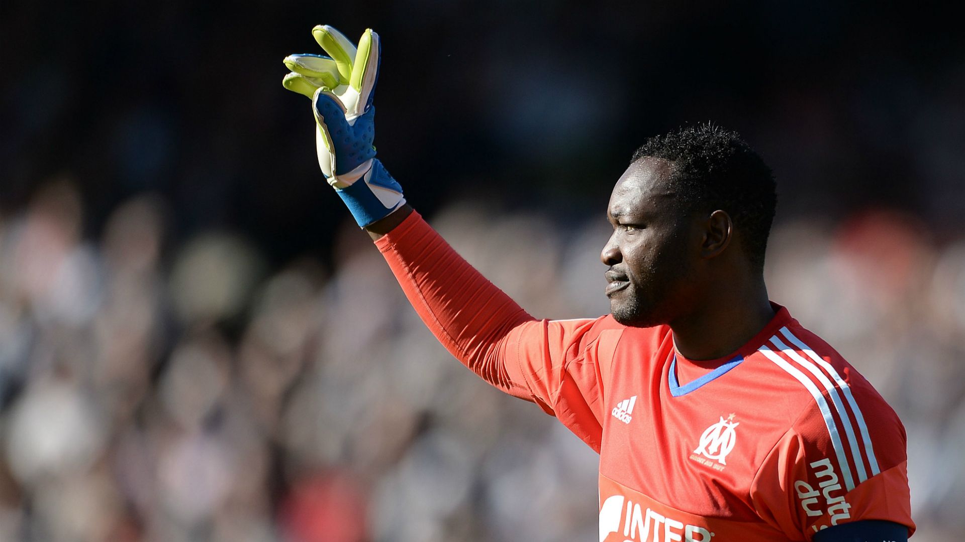 Ligue 1 Team of the Season | Steve Mandanda