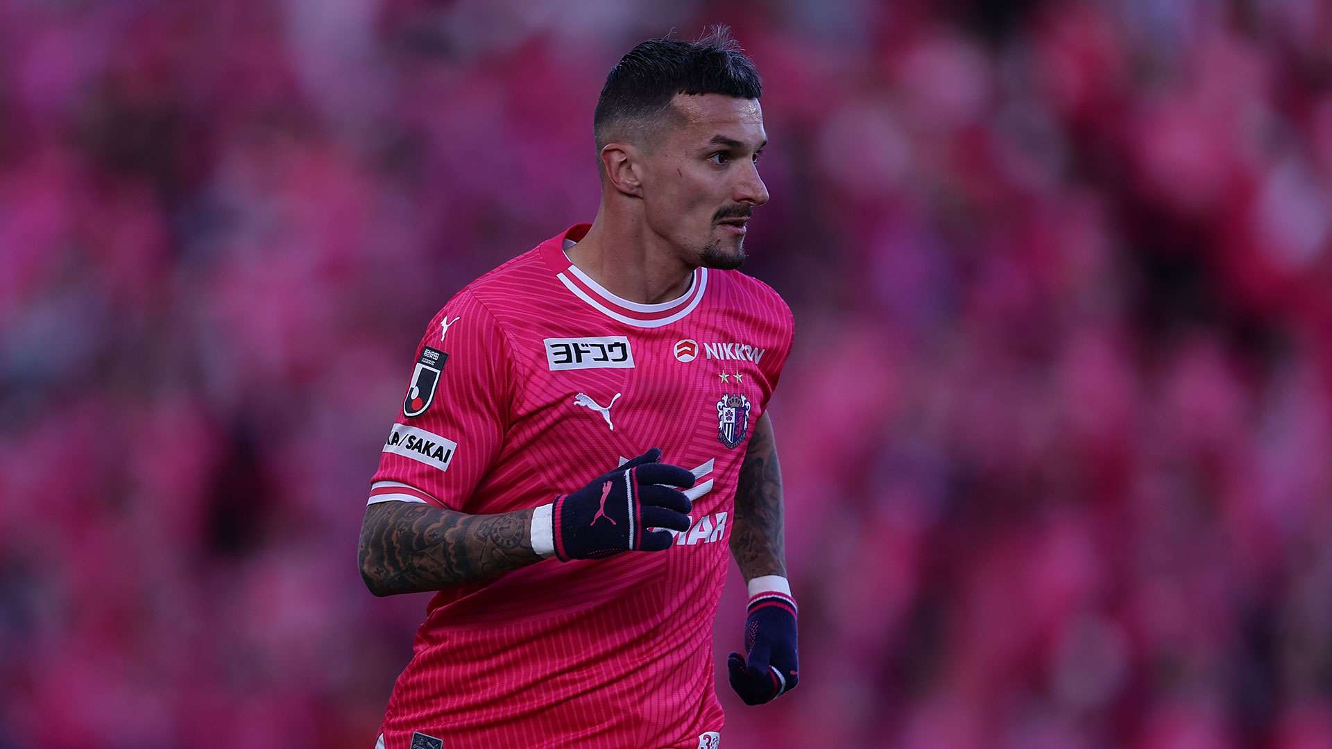 20240716_cerezo_croux