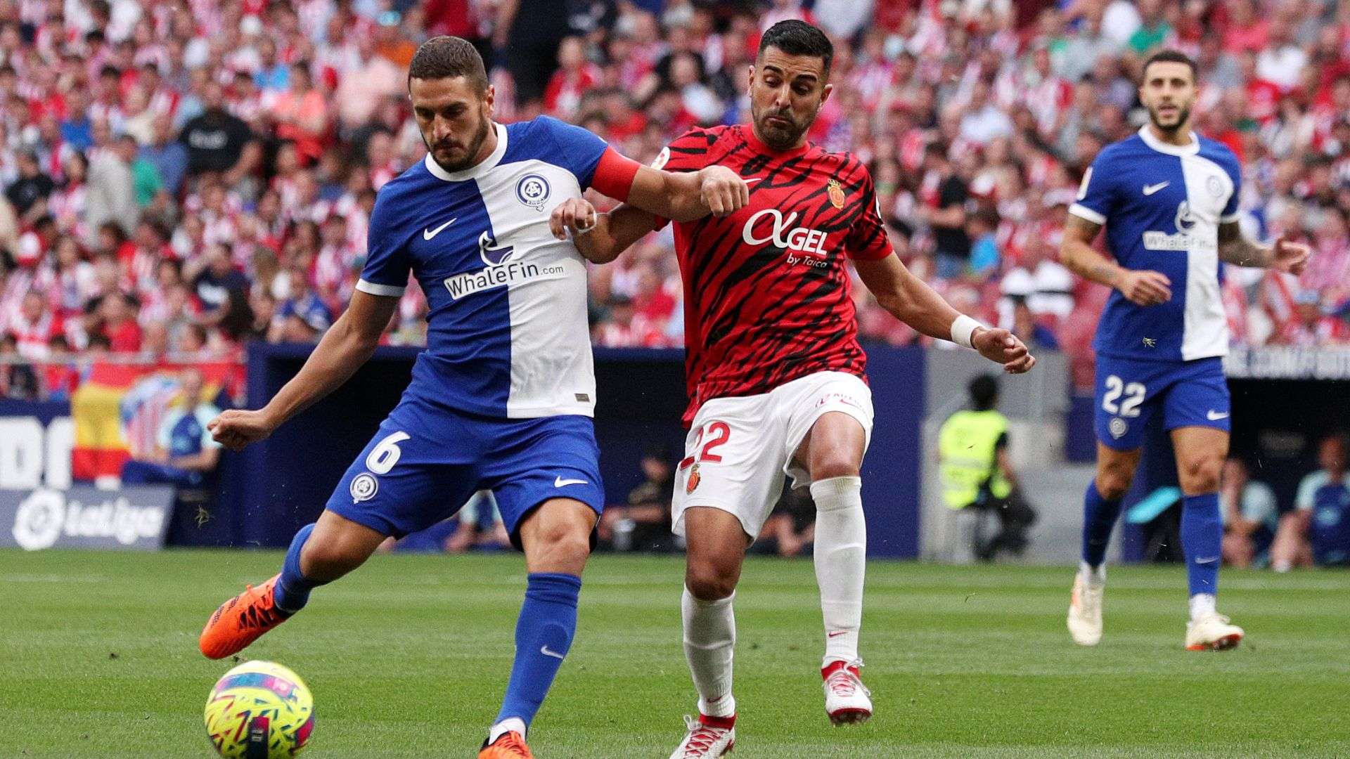 Atlético de Madrid vs. Mallorca