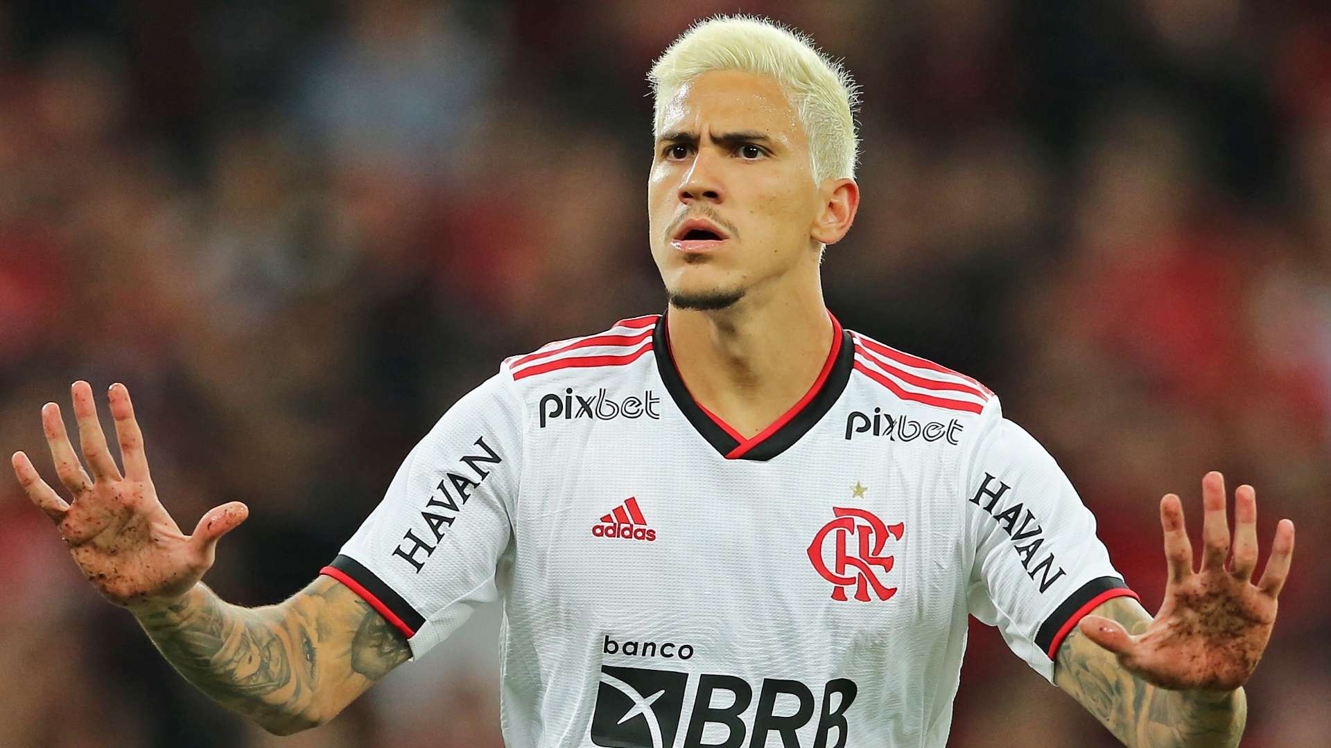 Pedro Flamengo Copa do Brasil 2022