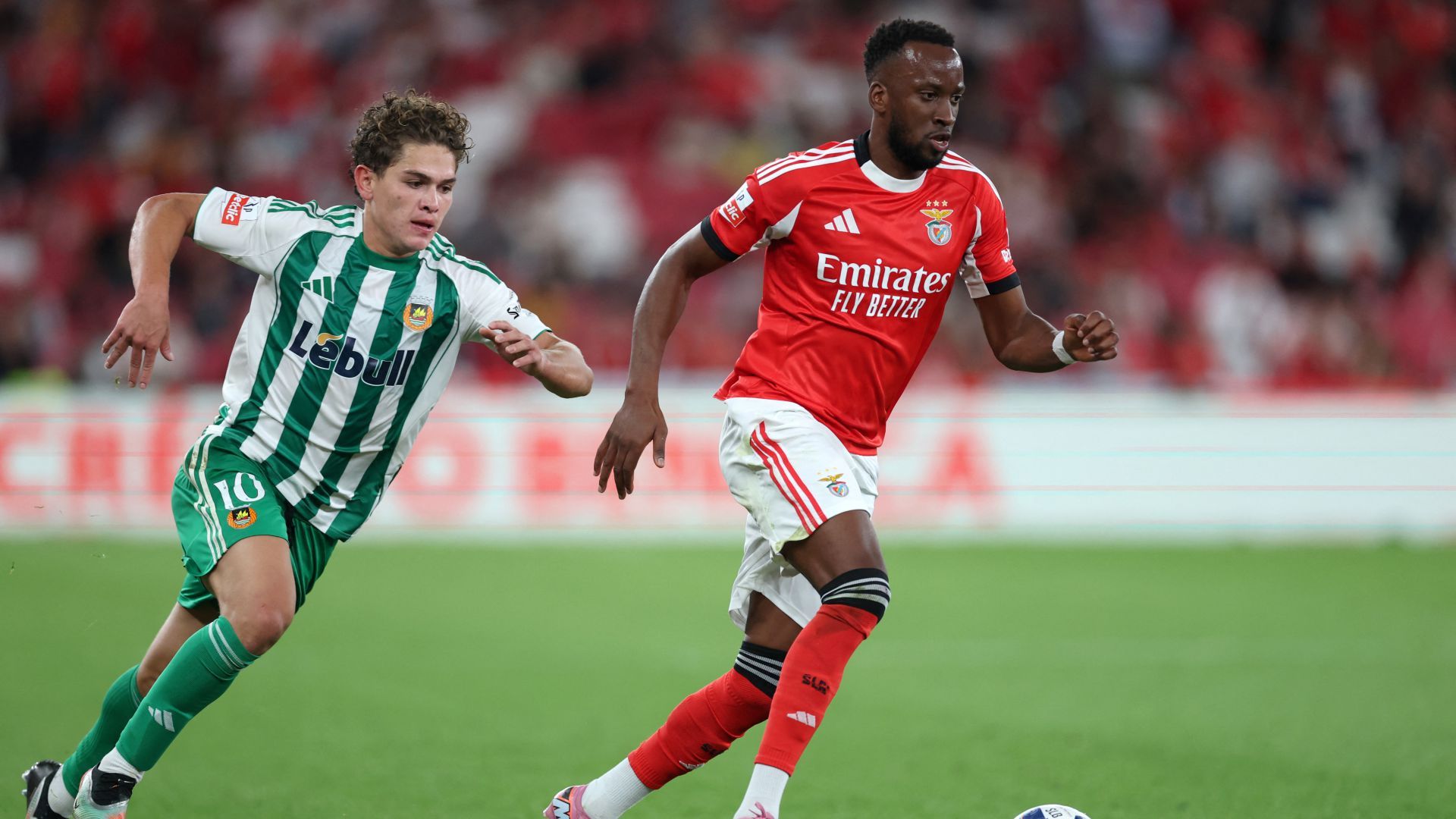 Dodi Lukebakio Benfica