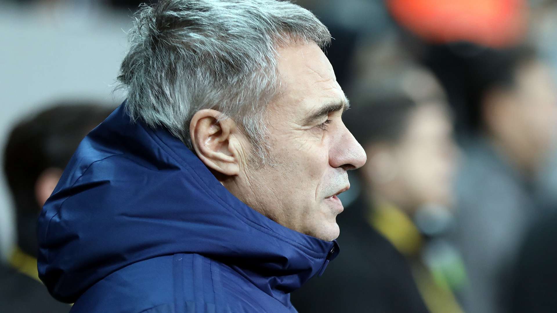 Ersun Yanal Fenerbahce