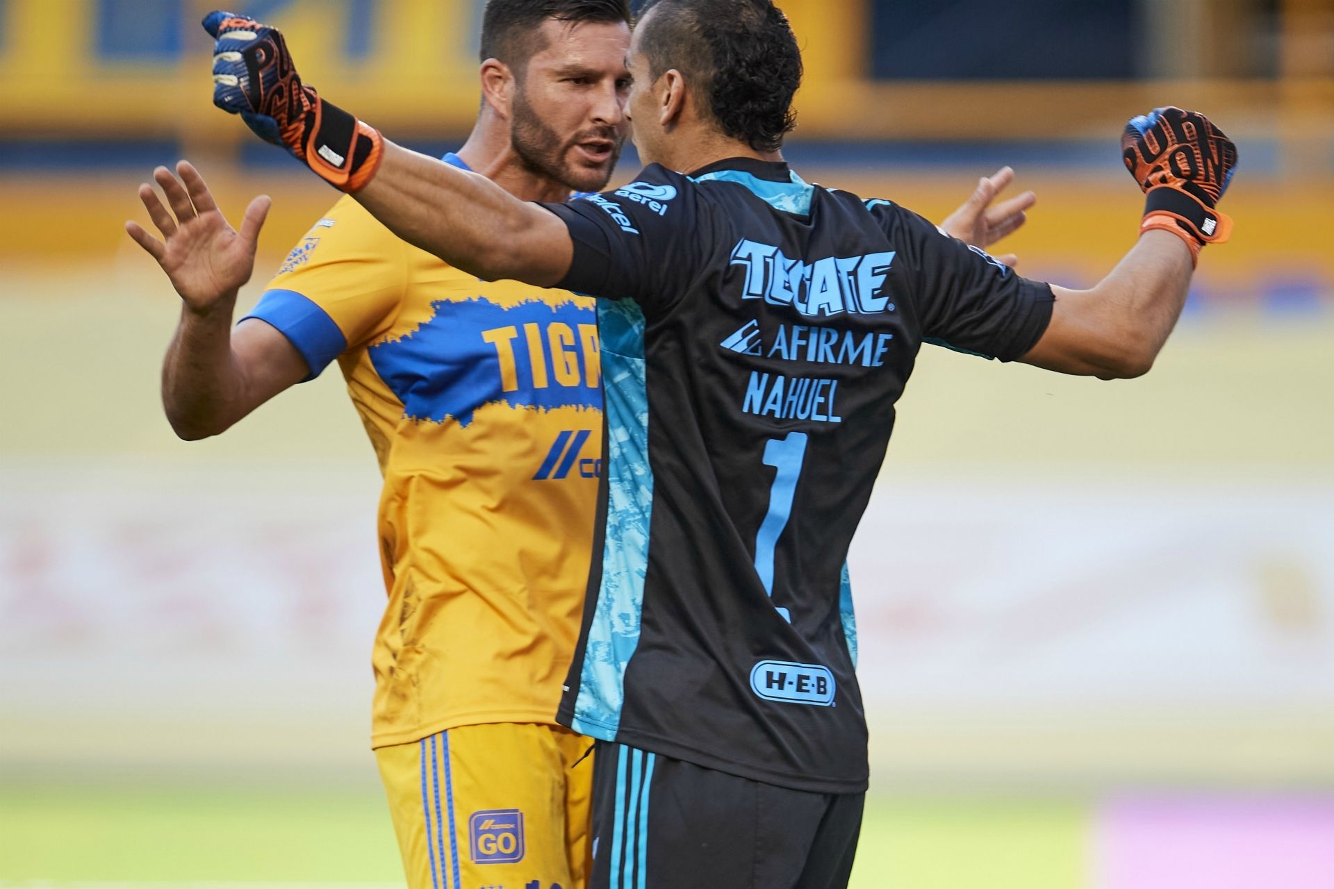 Tigres vs Querétaro Apertura 2020