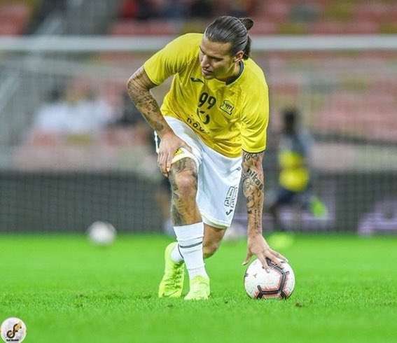 ألكسندر بيرجوفيتش