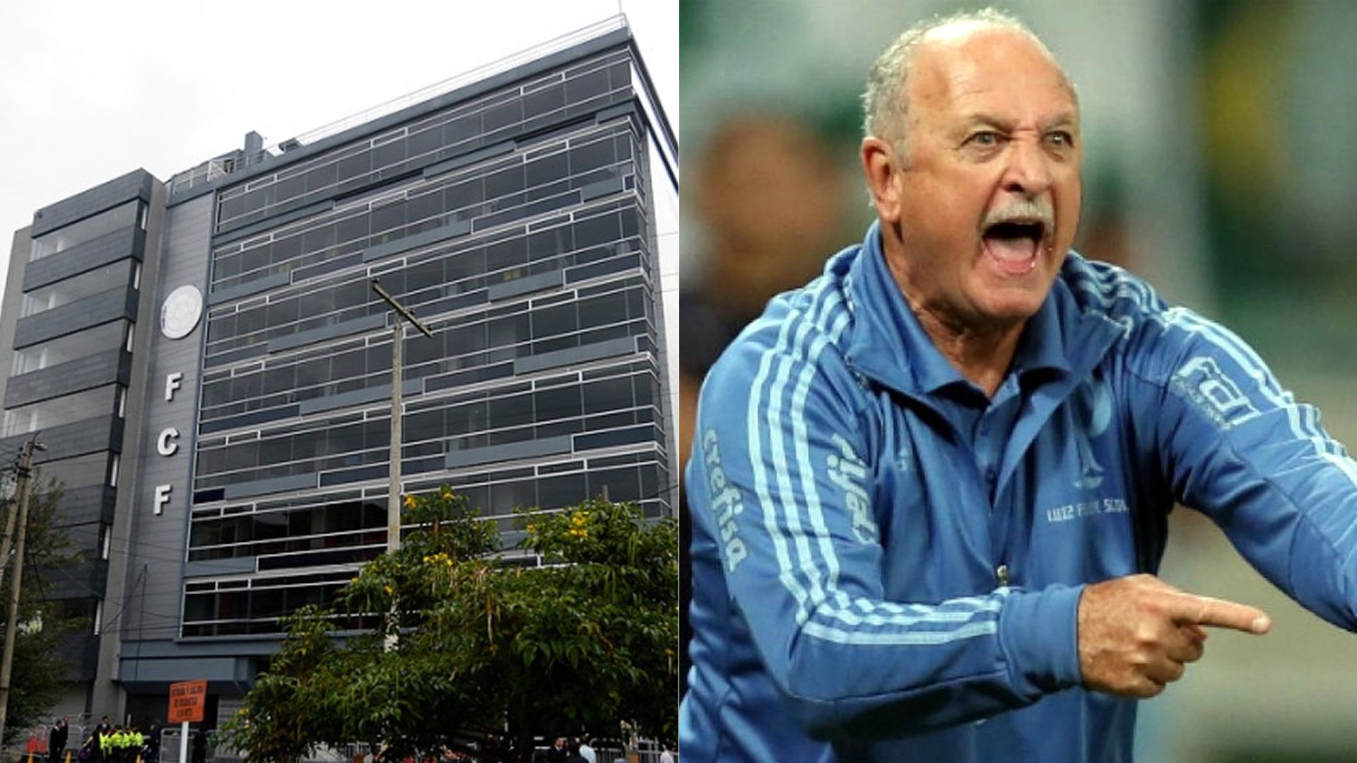 Federación Colombiana de Fútbol Luis Felipe Scolari