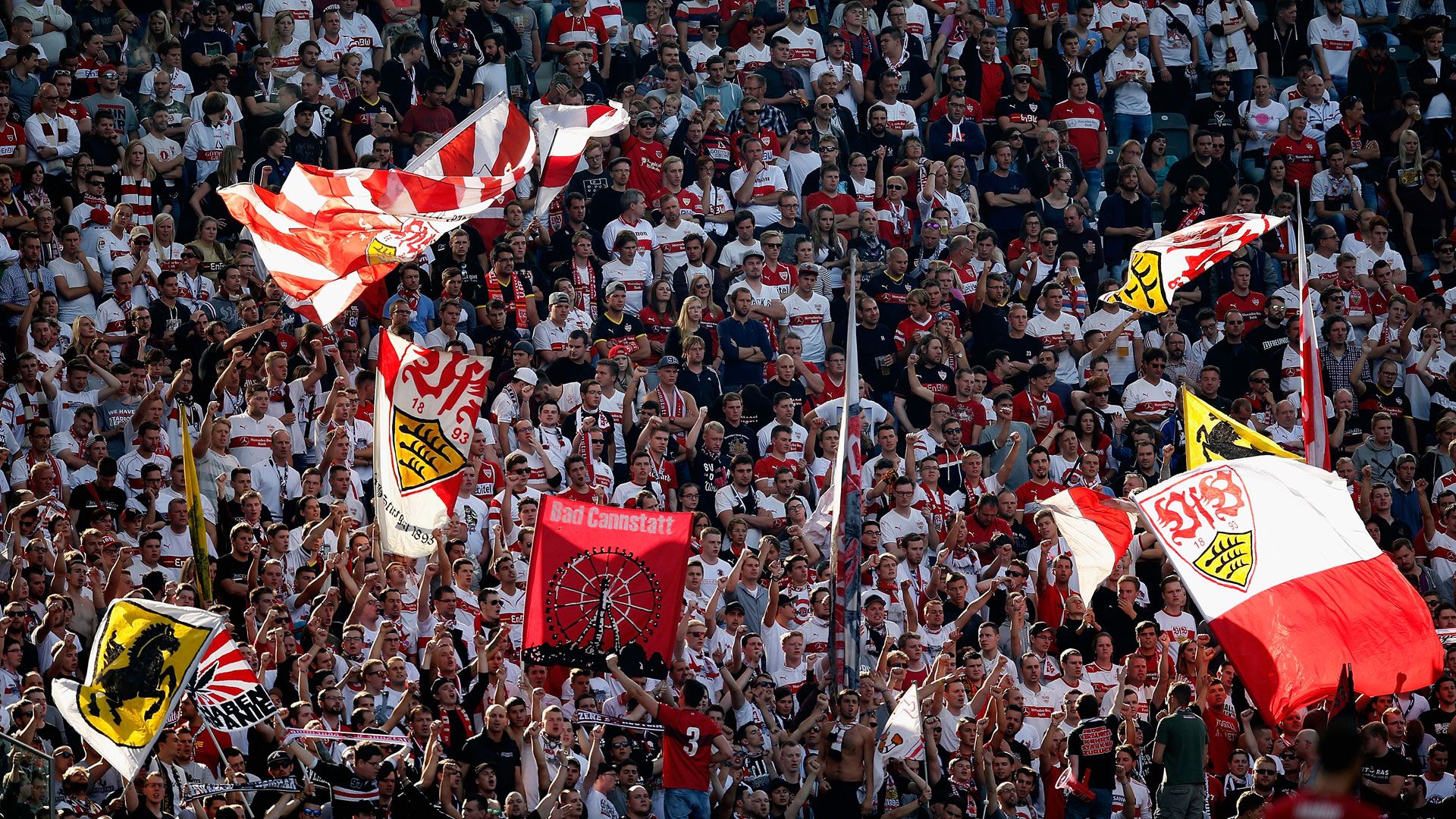 VfB Stuttgart Fans