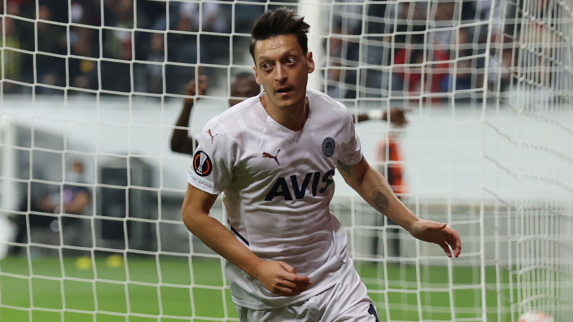 Mesut Ozil, Fenerbahce