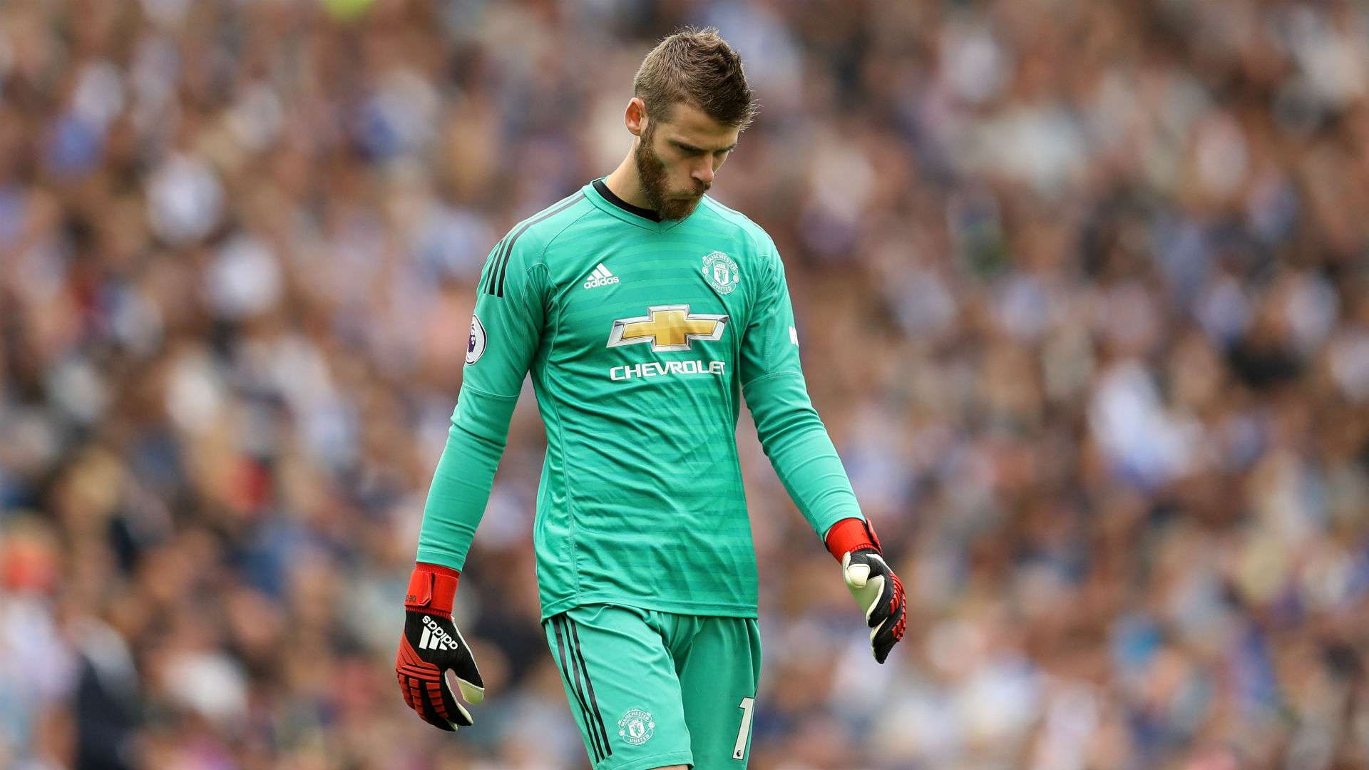 David De Gea Spain Manchester United