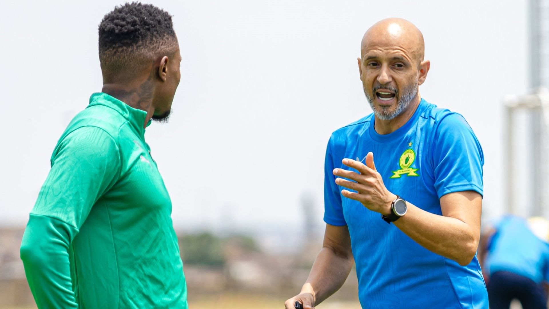 Miguel Cardoso, Mamelodi Sundowns