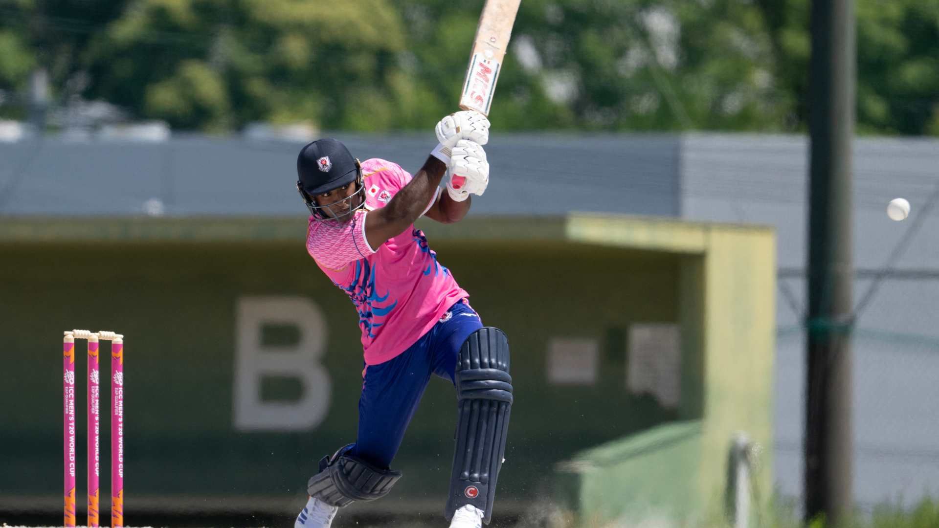 cricket