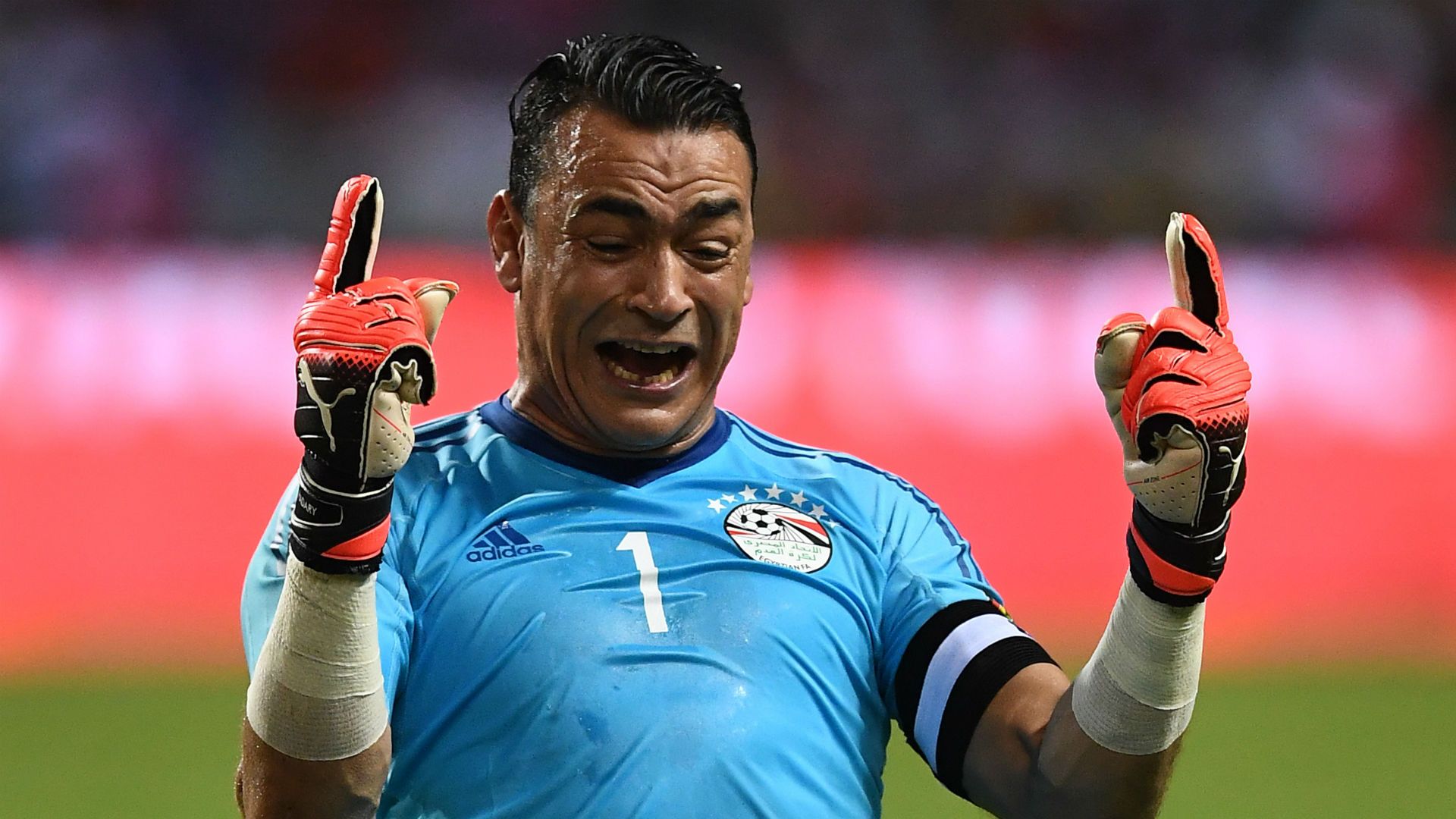 El Hadary