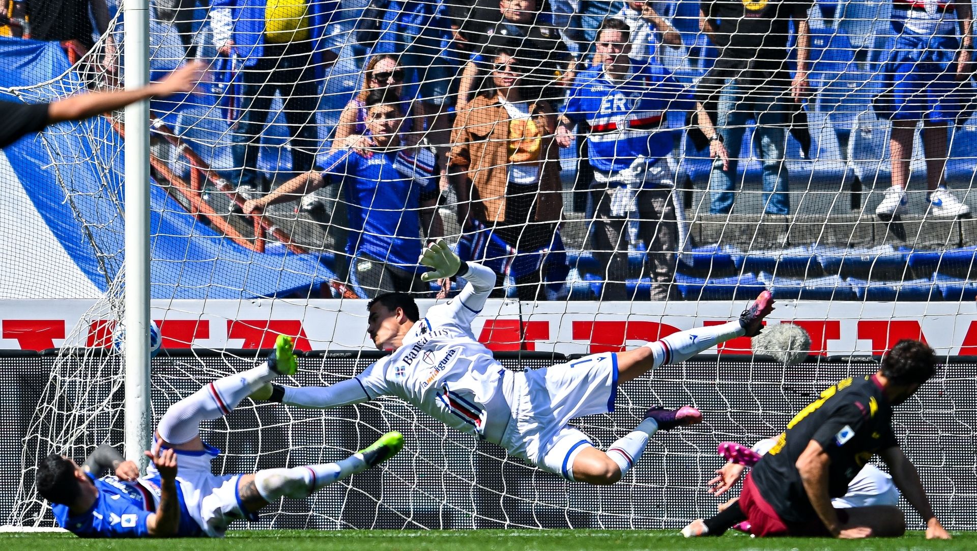 sampdoria salernitana