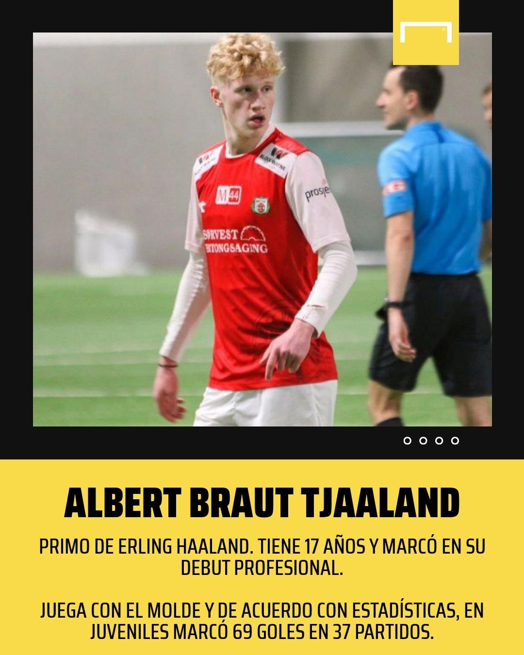 Afiche Albert Braut Tjaaland