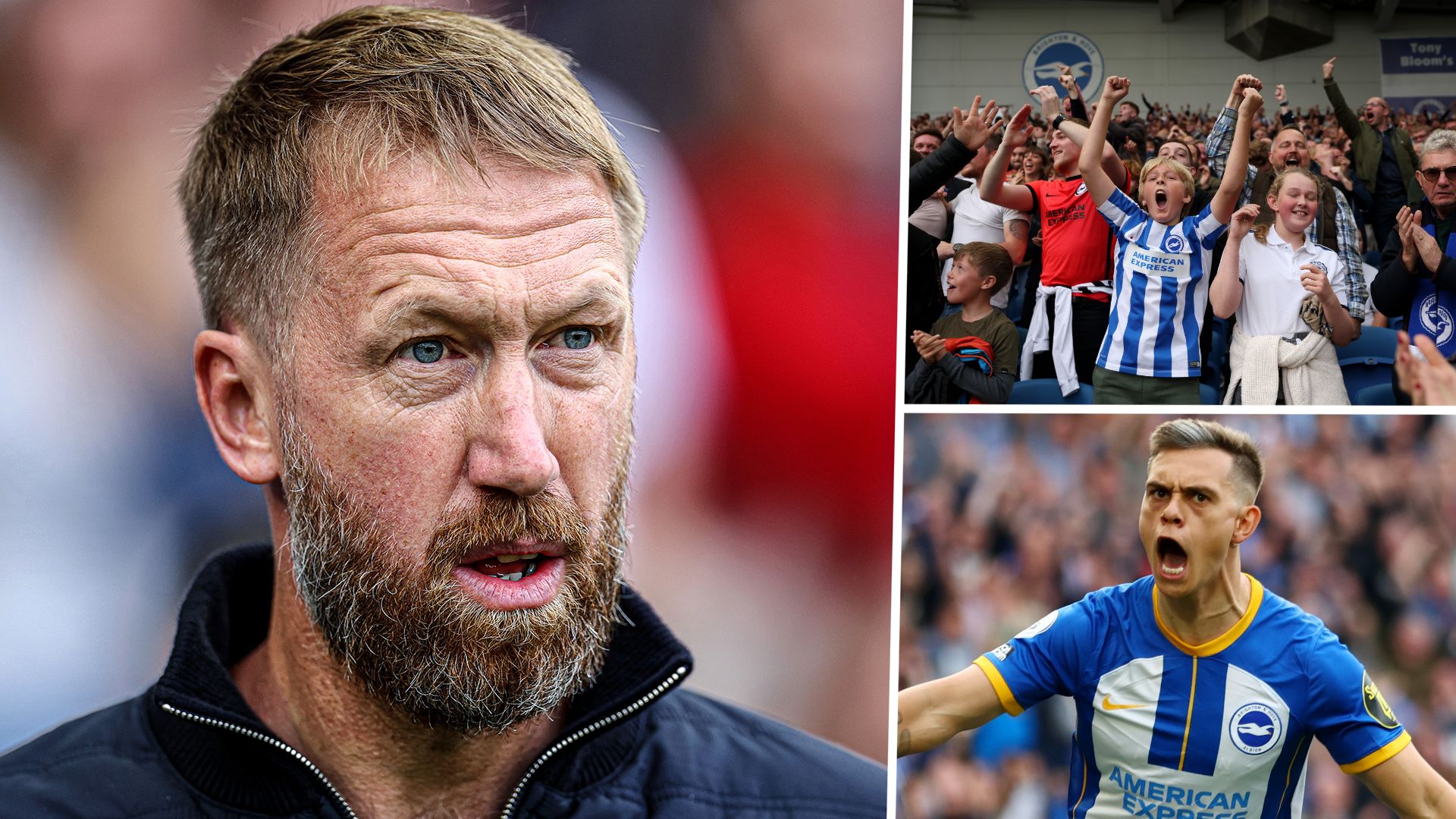 Graham Potter Chelsea Brighton GFX