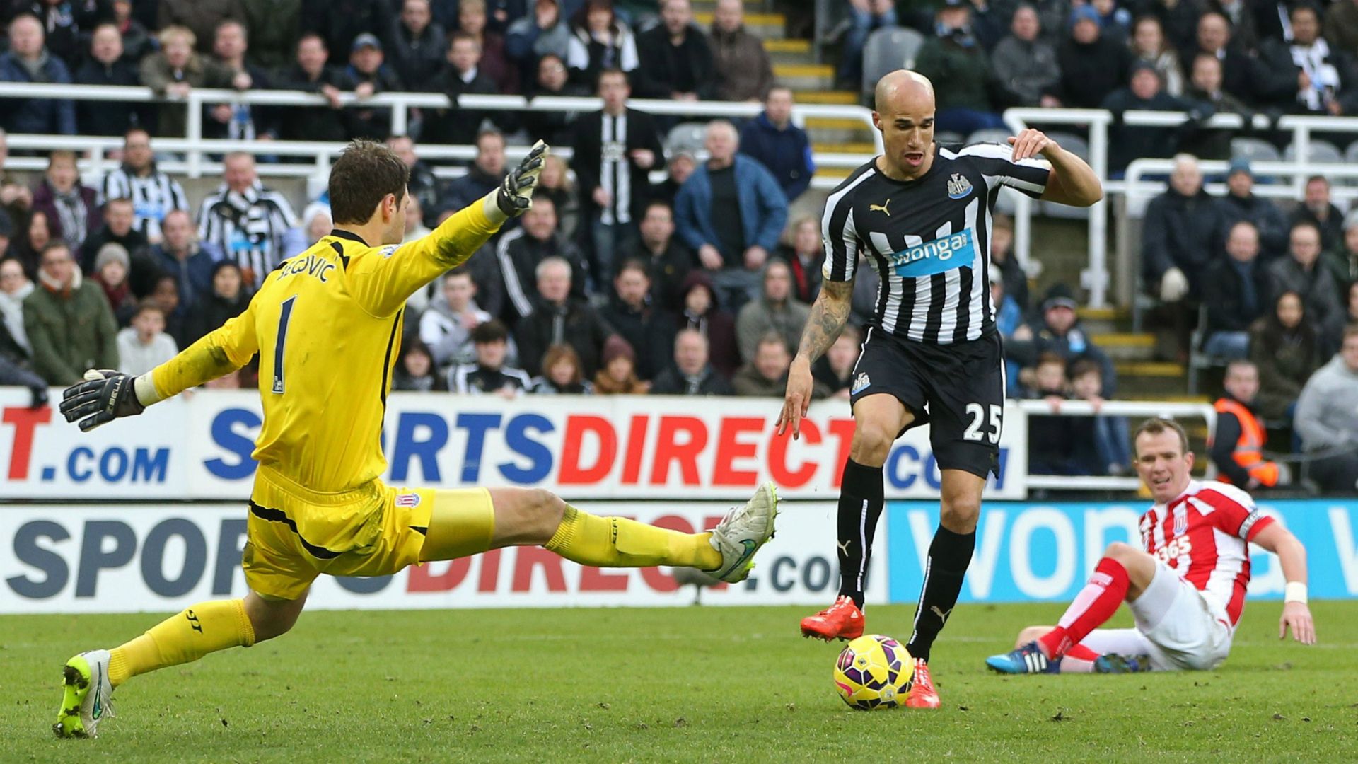 Gabriel Obertan | Newcastle United