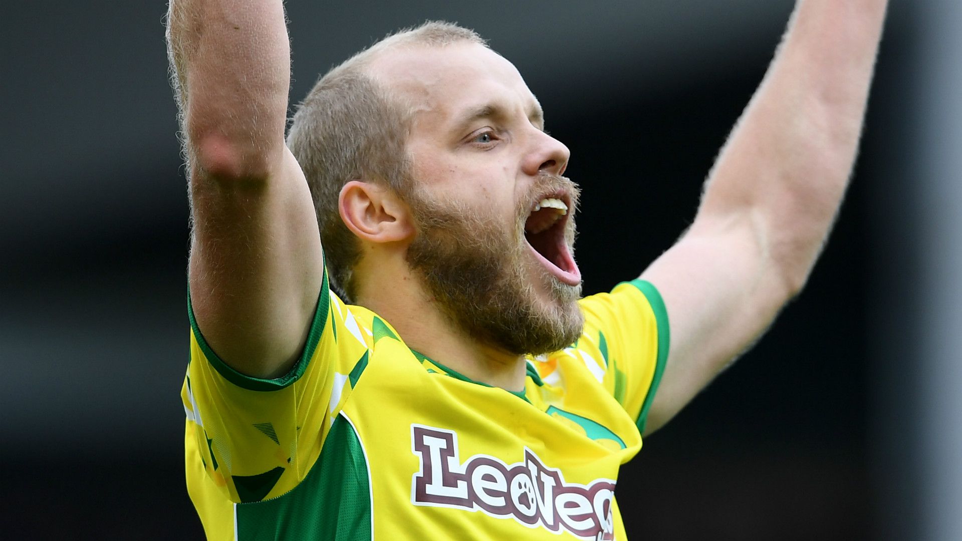 Teemu Pukki Norwich City 2018-19