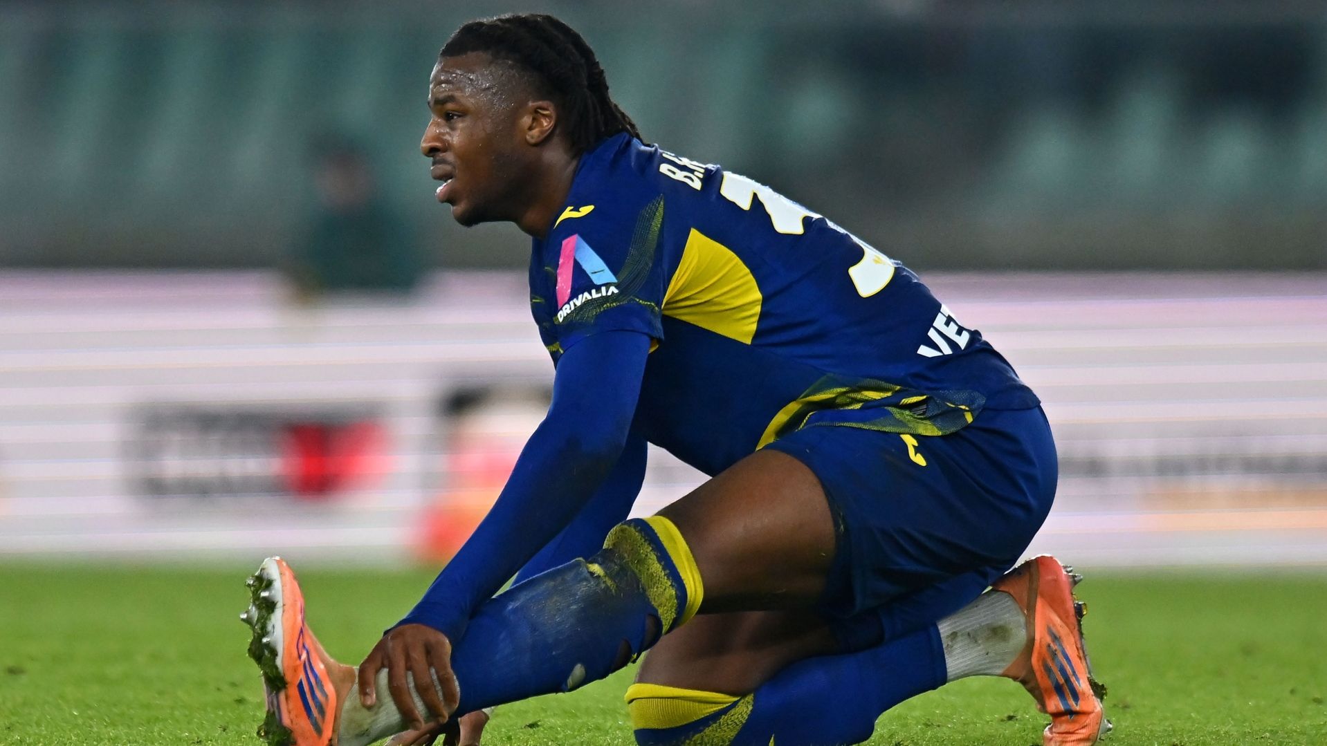 Bella-Kotchap Verona