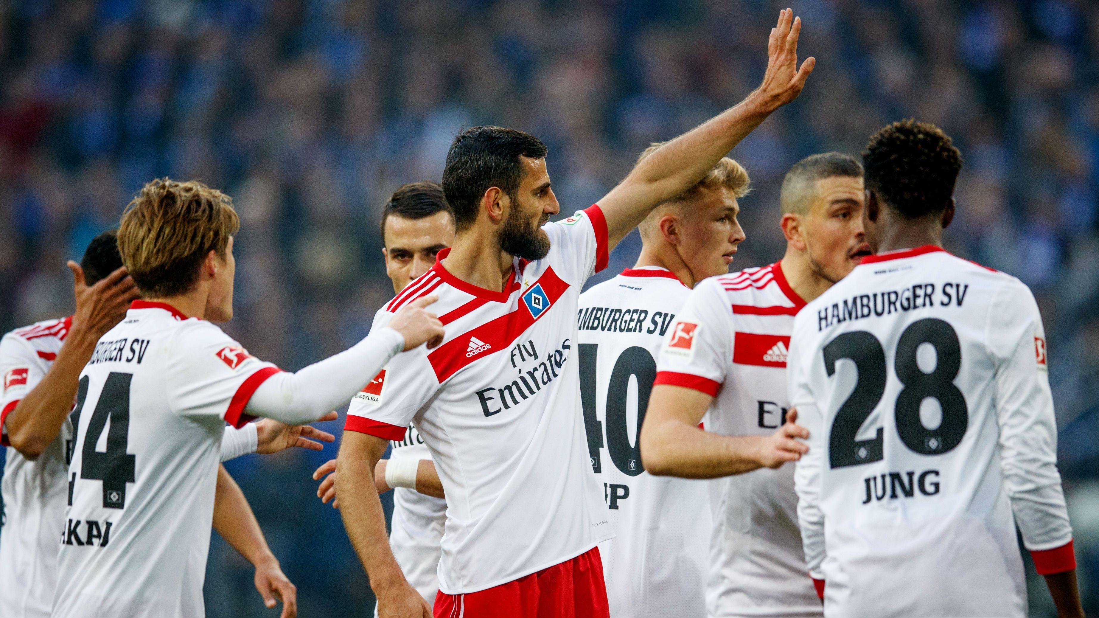 Hamburger SV Hoffenheim