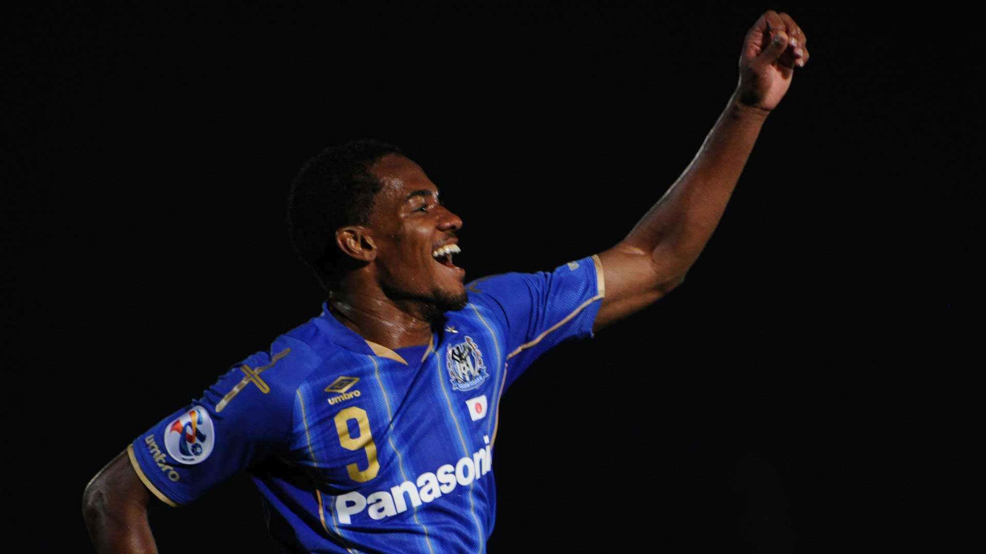 2017-08-04-gamba-Lins Lima de Britto