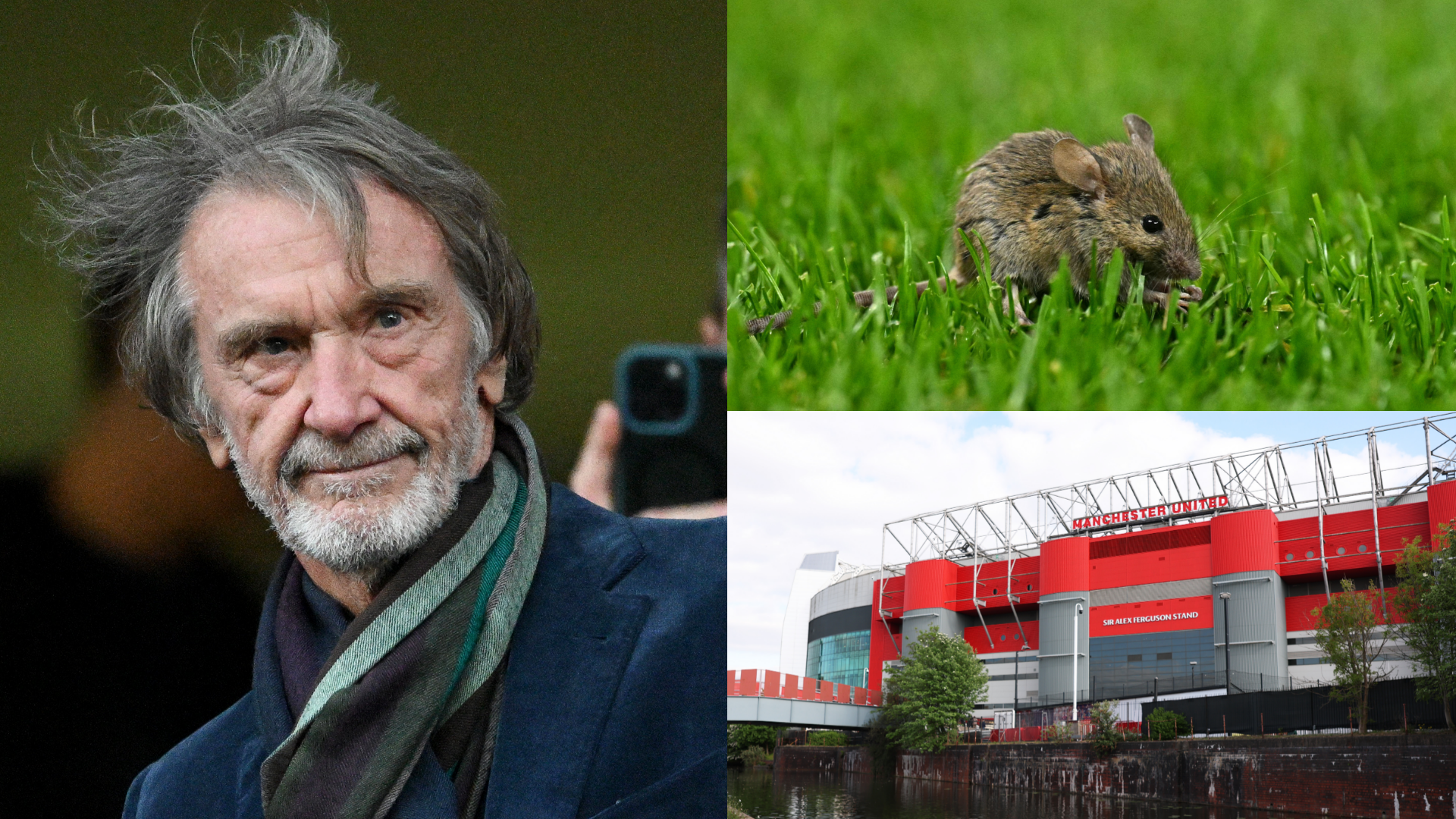 Man Utd hit with two-star food hygiene rating - again! Red Devils under fire once more following discovery of mouse droppings at Old Trafford | Goal.com UK