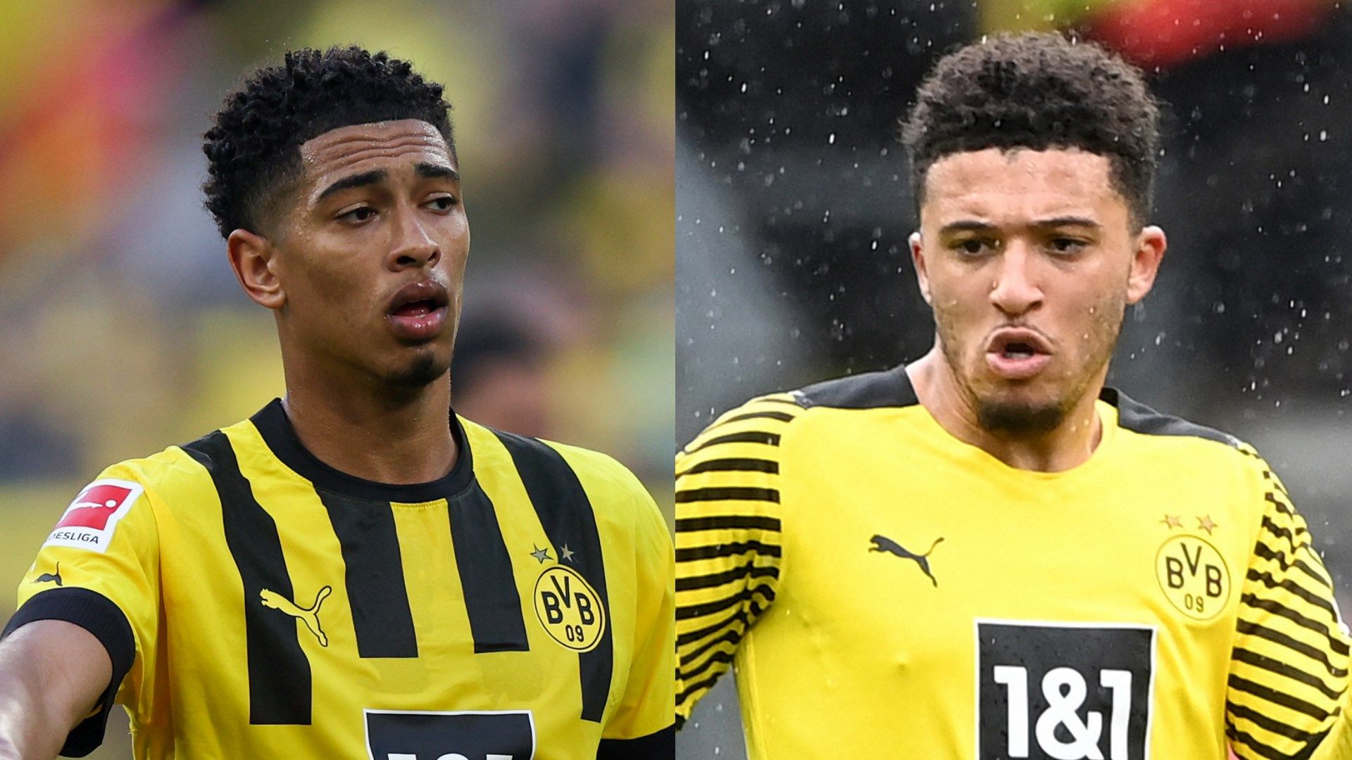 GFX BELLINGHAM SANCHO 