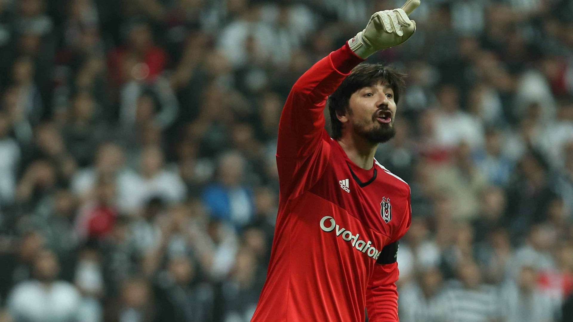 Tolga Zengin Besiktas
