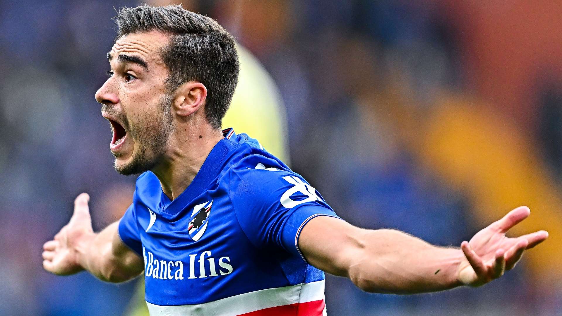 Sampdoria Udinese Winks