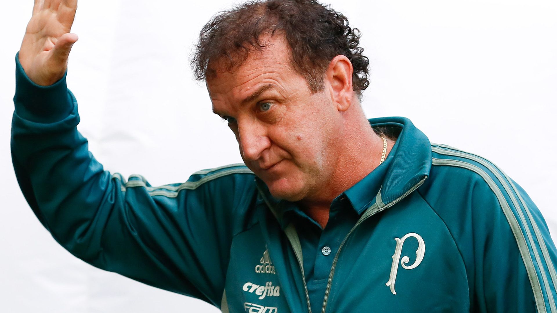 Cuca Palmeiras Vasco Brasileirao Serie A 14052017