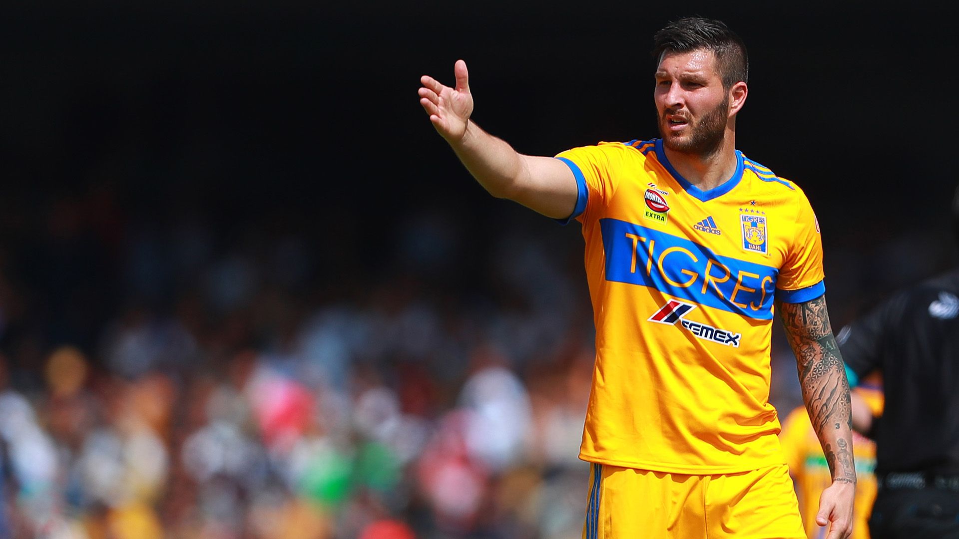 Gignac Tigres 2018