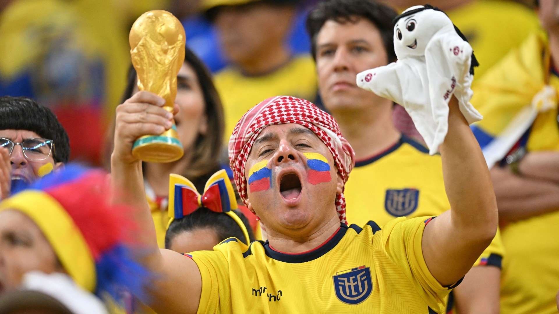 Ecuador fan World Cup