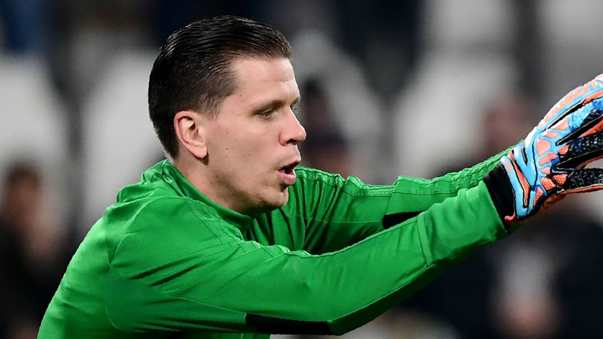 Wojciech Szczesny Juventus 2018-19