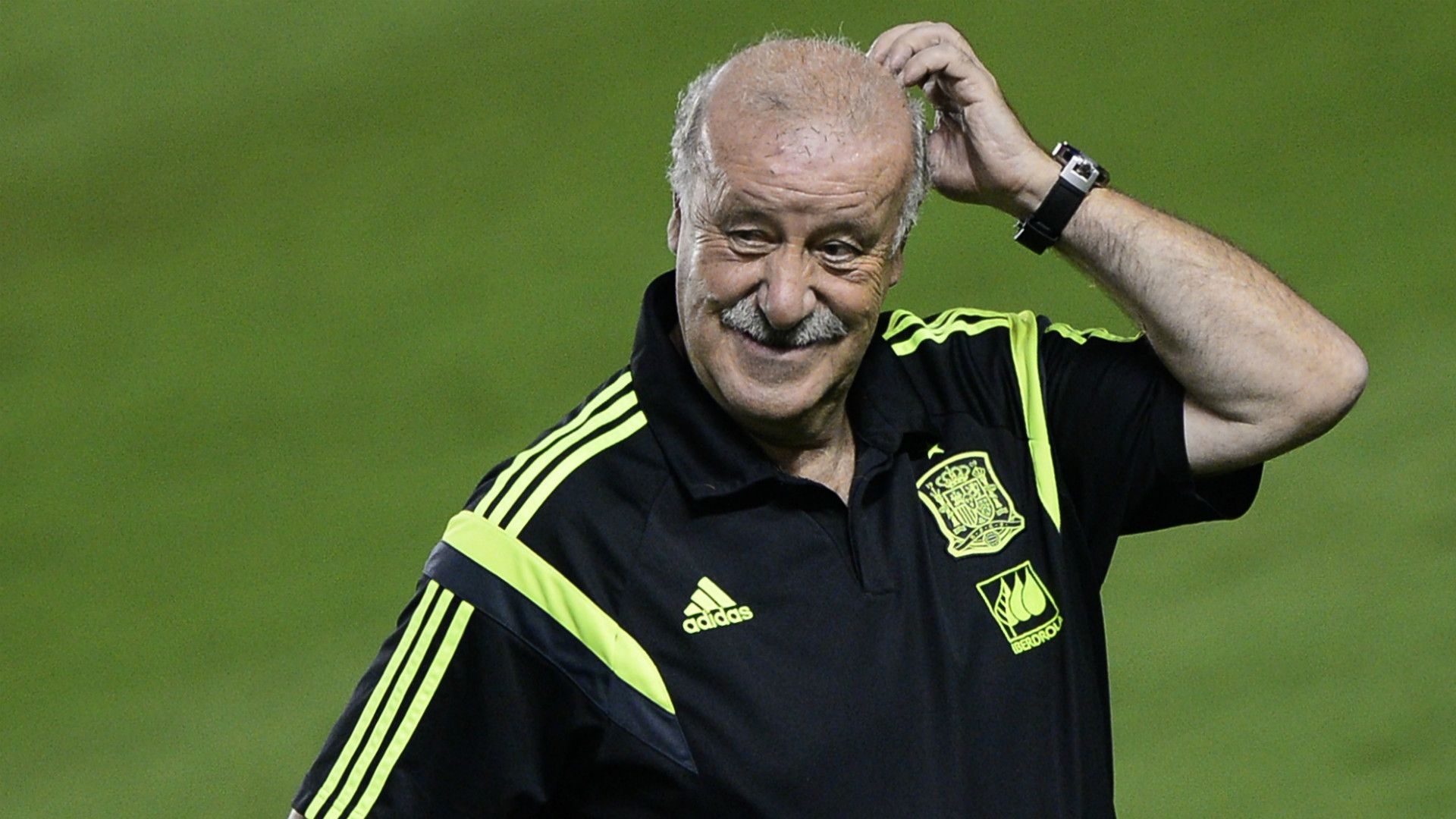Vicente Del Bosque Spain