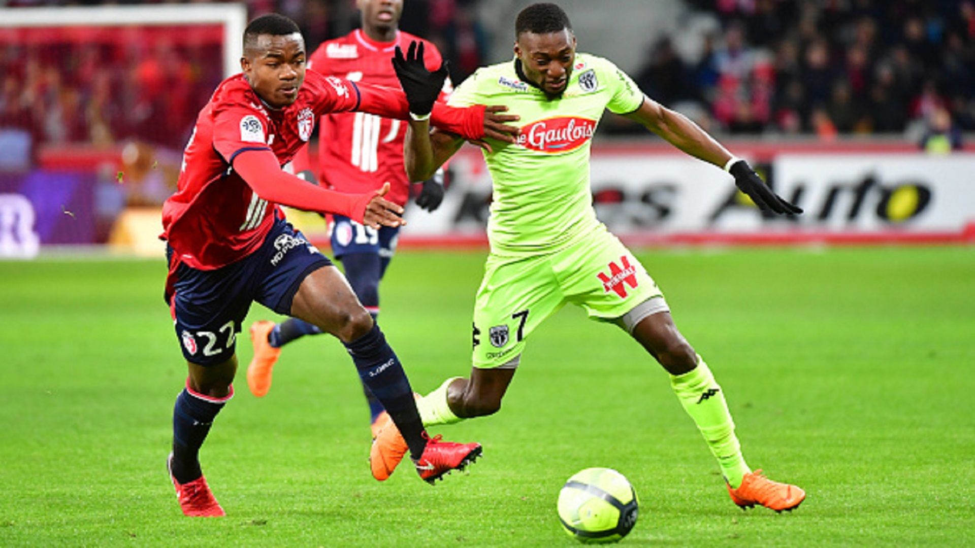 Kouadio Yves Dabila of Lille and Karl Toko Ekambi of Angers