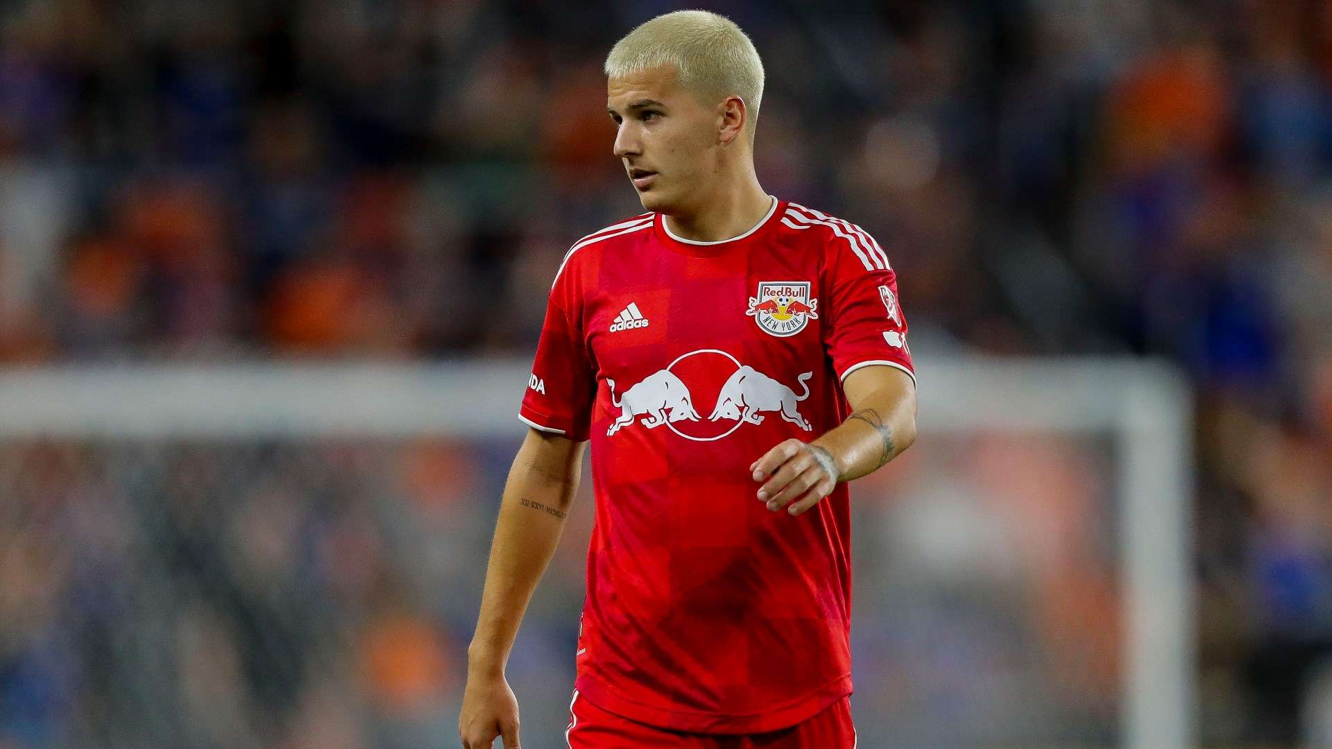 John Tolkin RBNY 2023