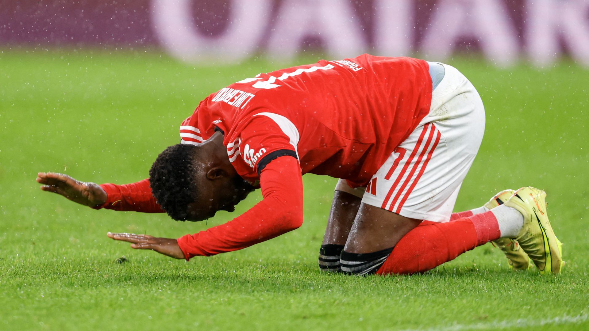 Dodi Lukebakio Benfica