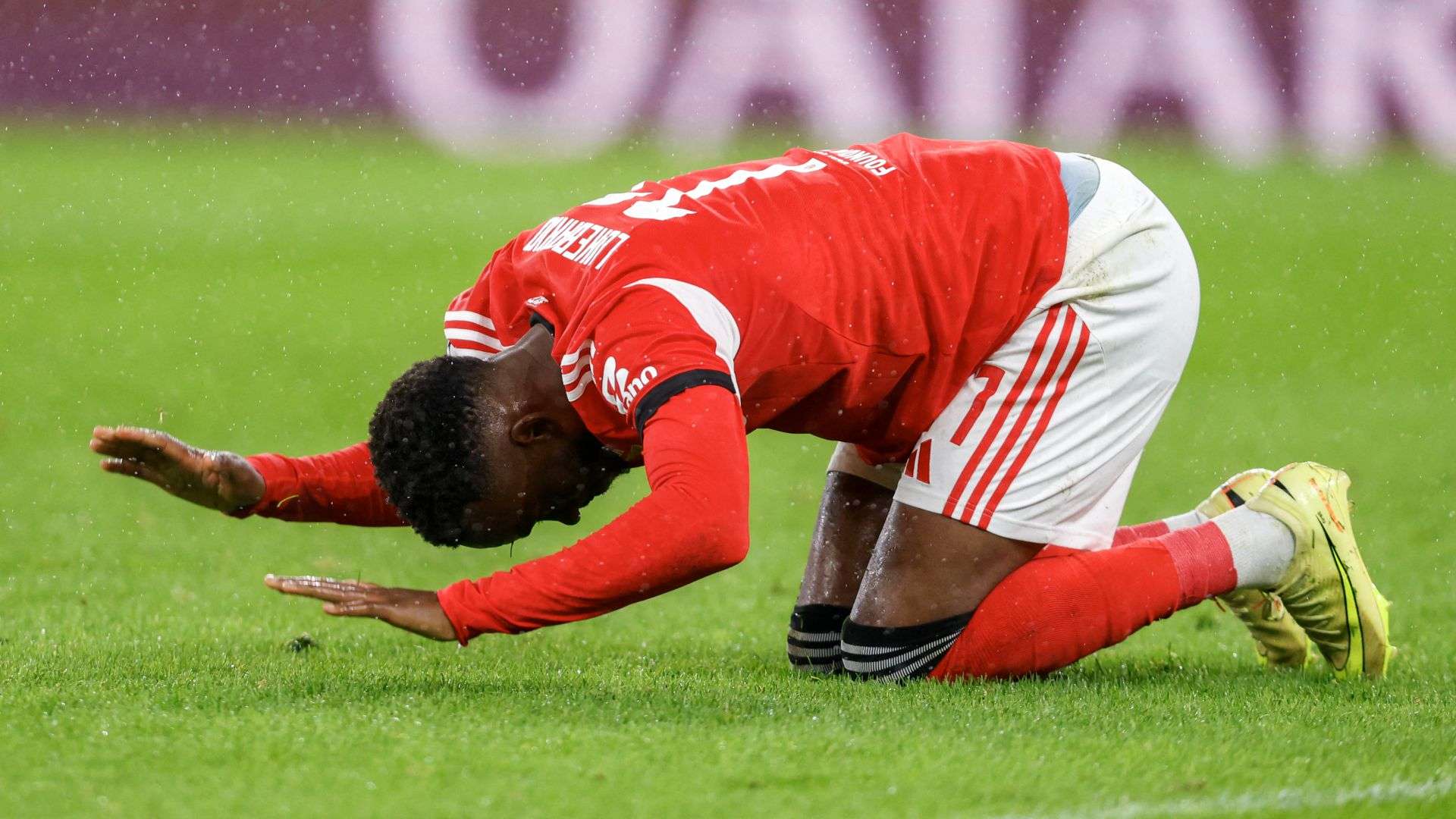 Dodi Lukebakio Benfica