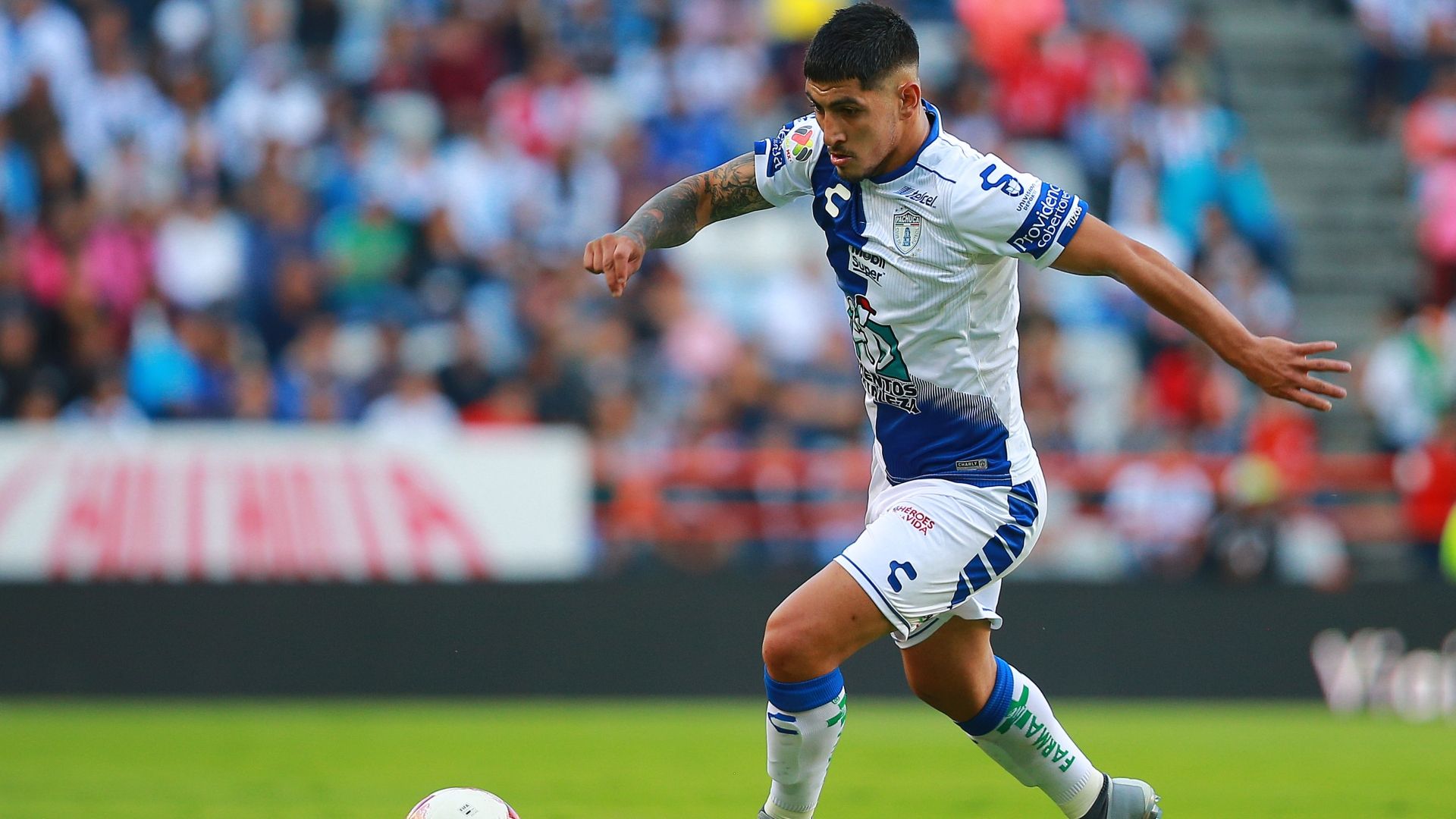 Victor Guzman Pachuca