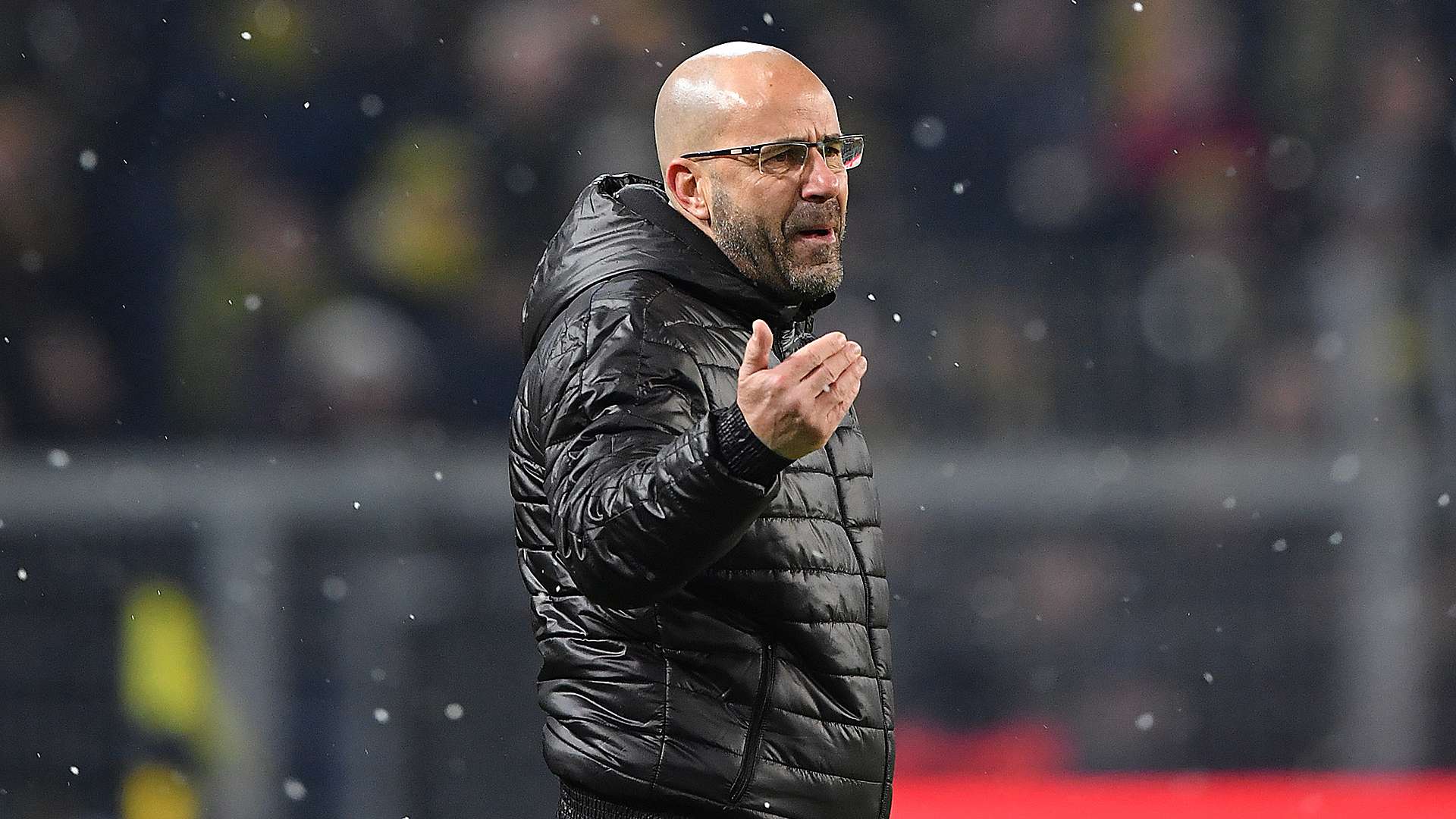Peter Bosz Borussia Dortmund