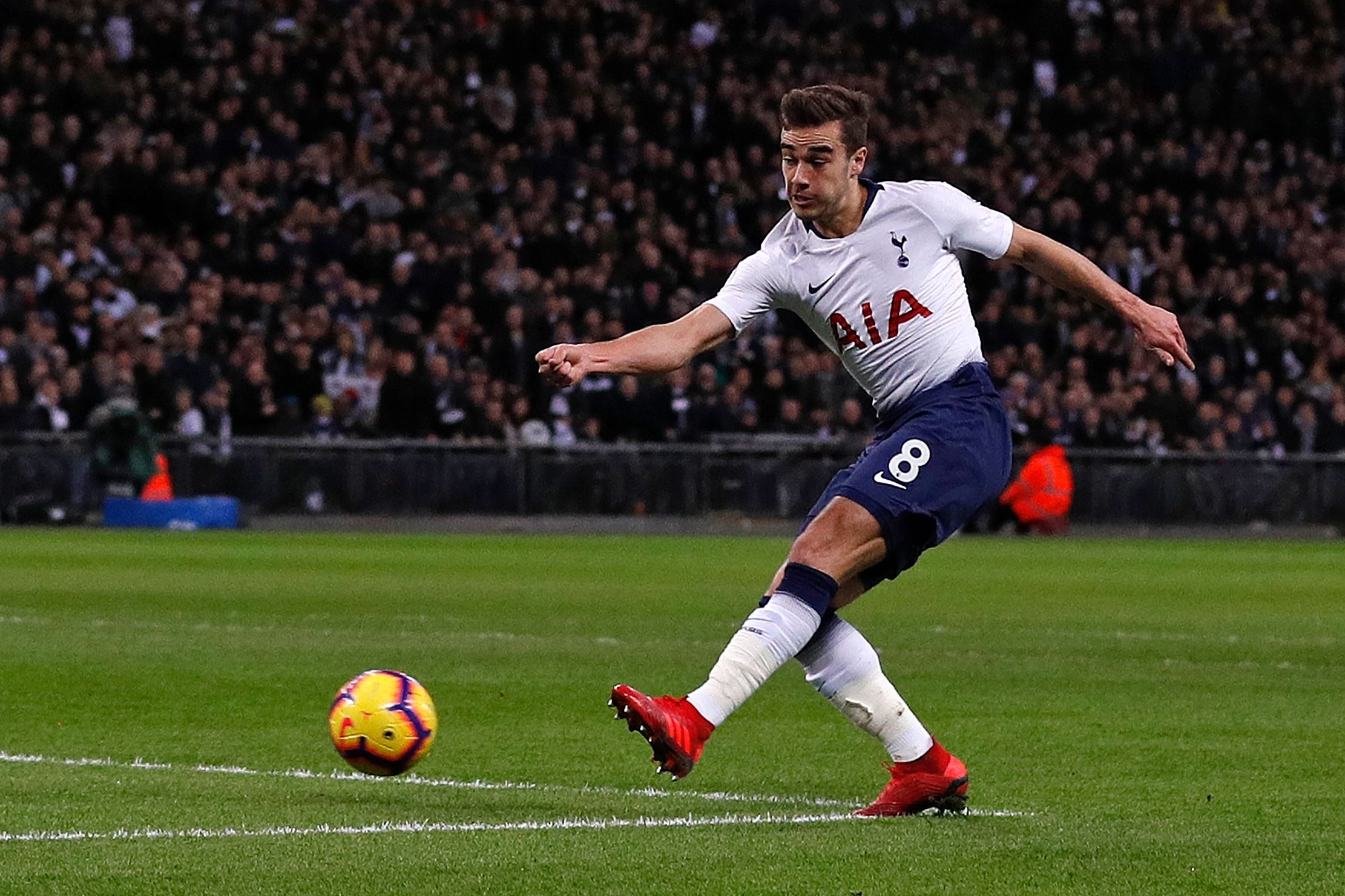 Harry Winks Tottenham Primier League