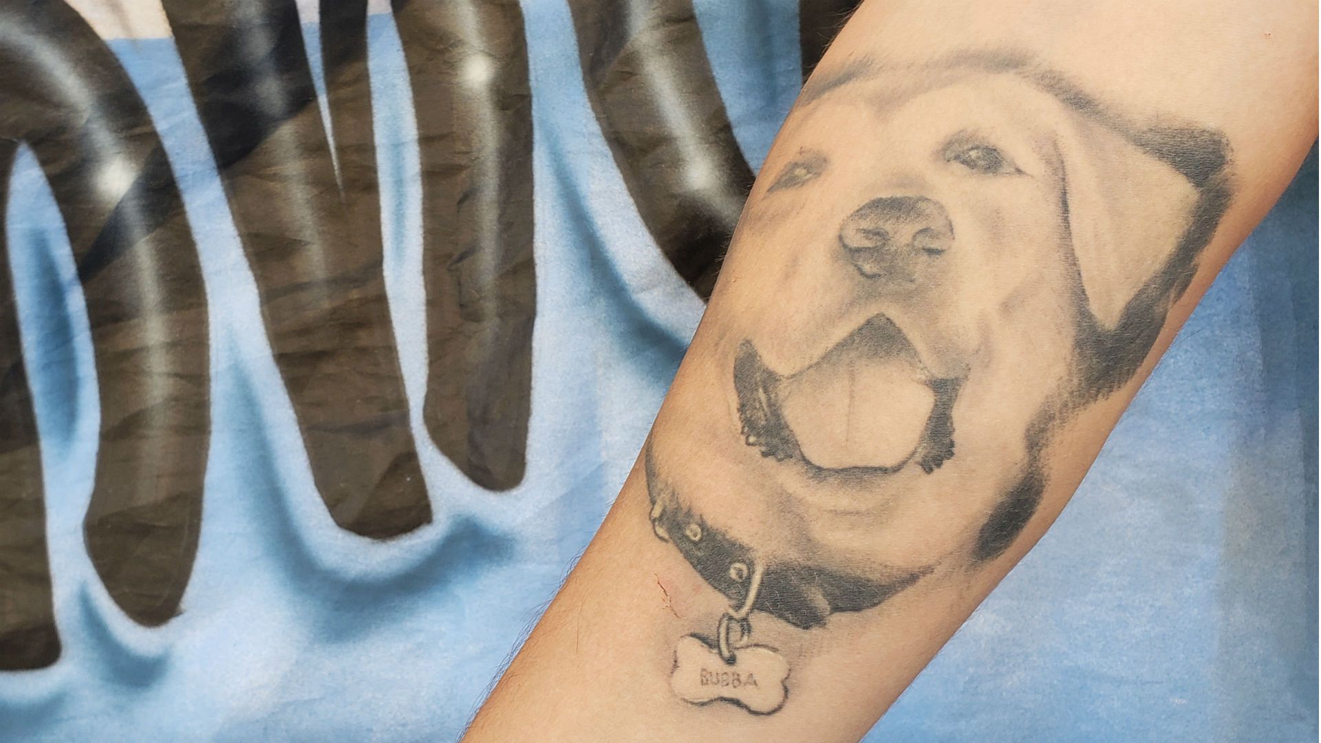 Argentina Kazan Bubba Perro 290618